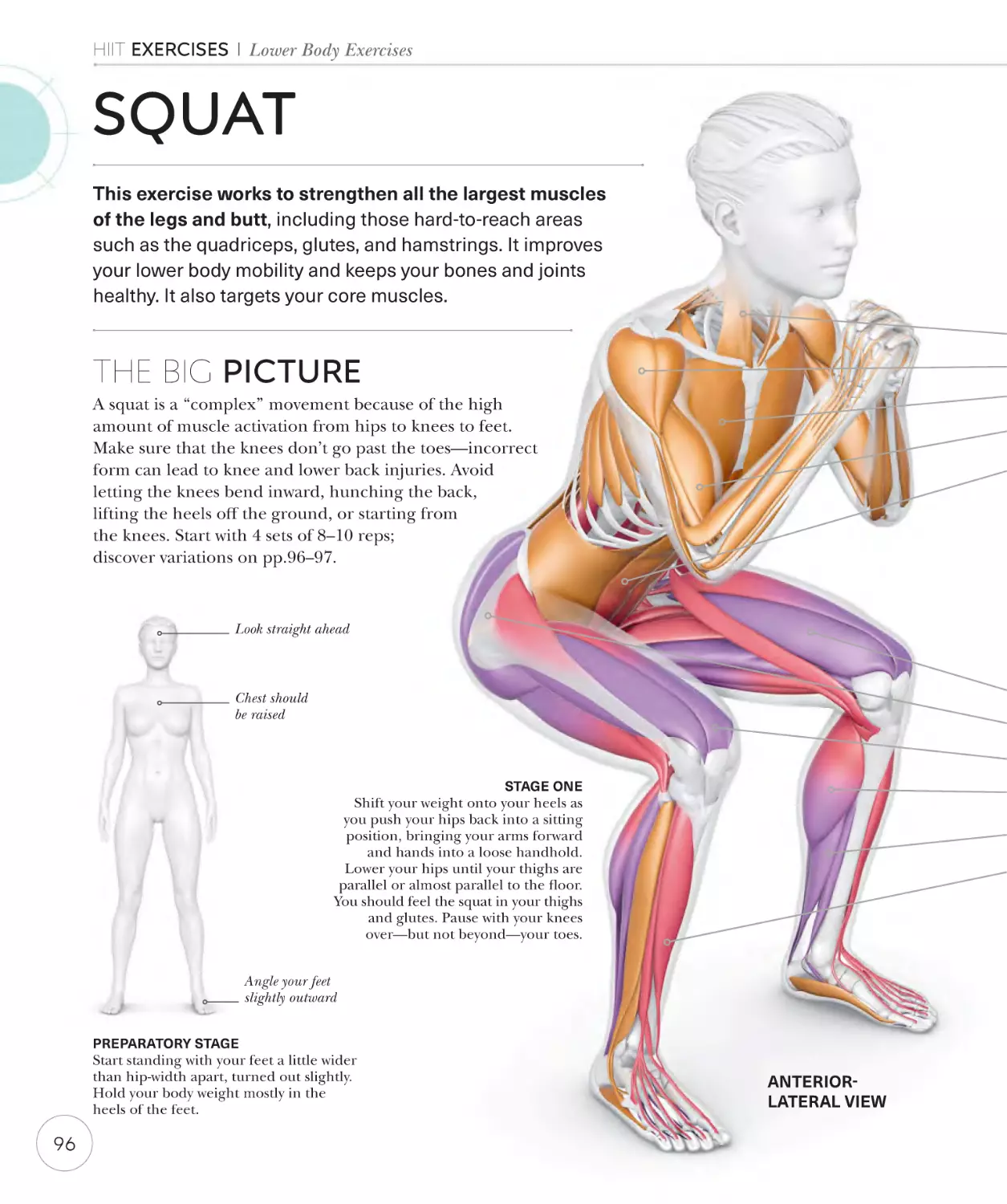 Squat