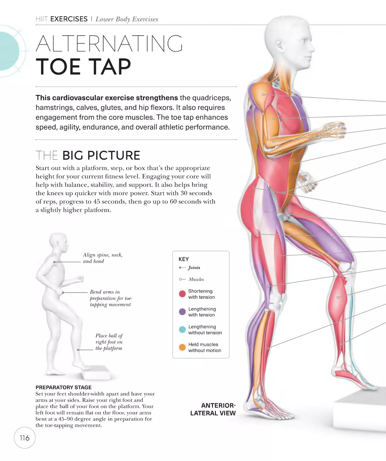 Alternating toe tap