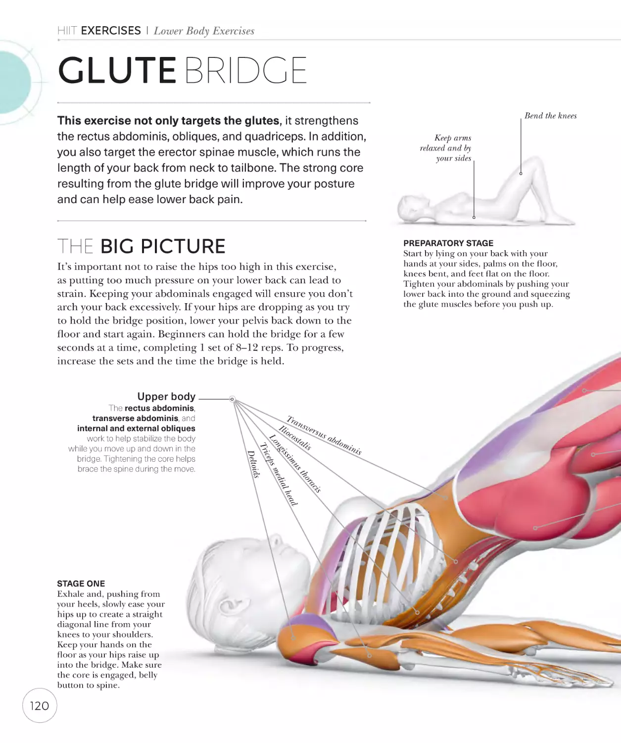 Glute bridge