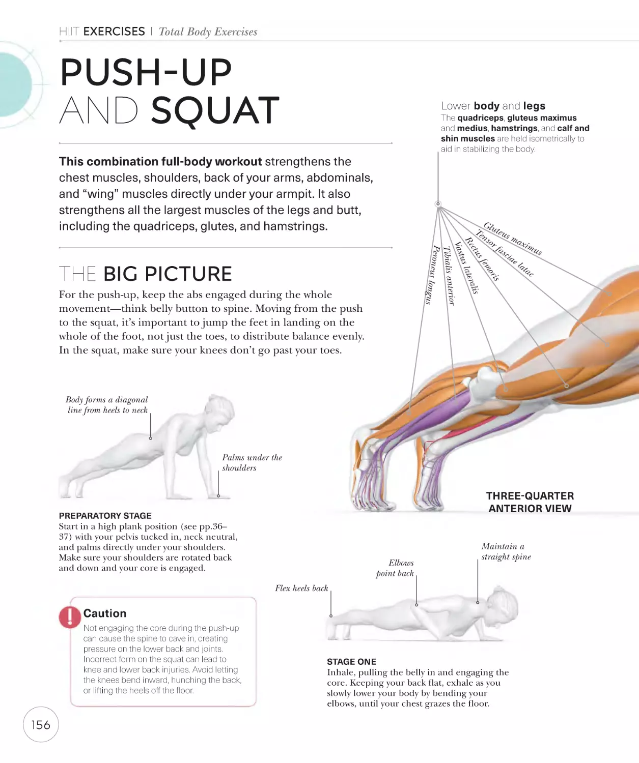 Push-up and squat