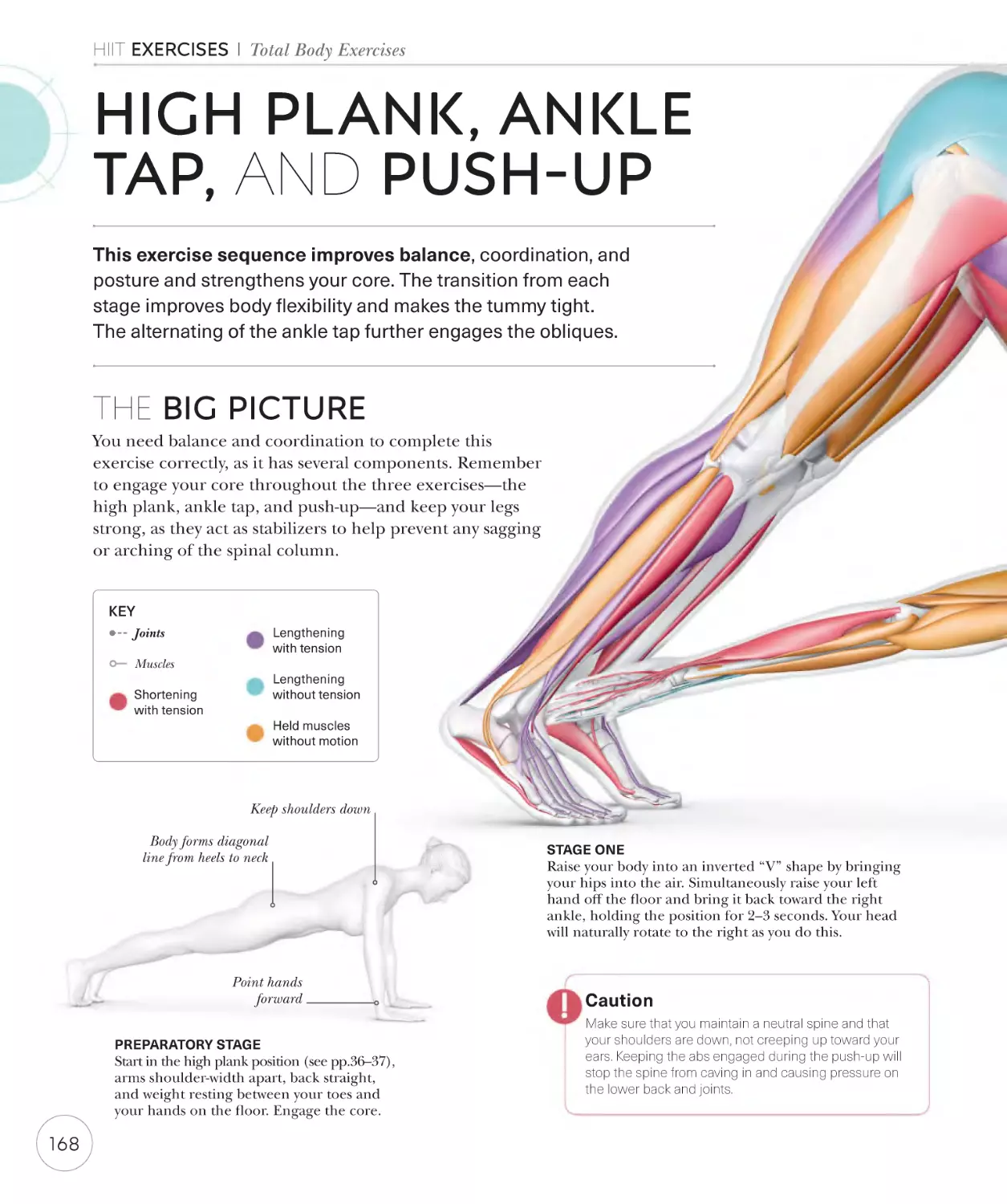 High plank, ankle tap, and push-up