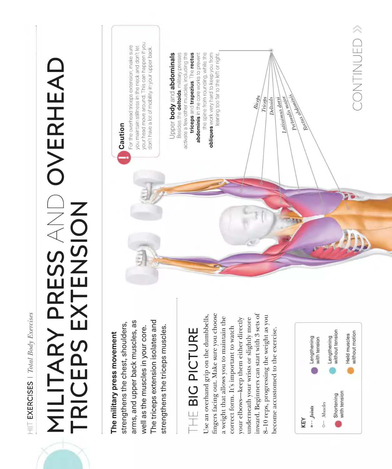 Military press and overhead triceps extension