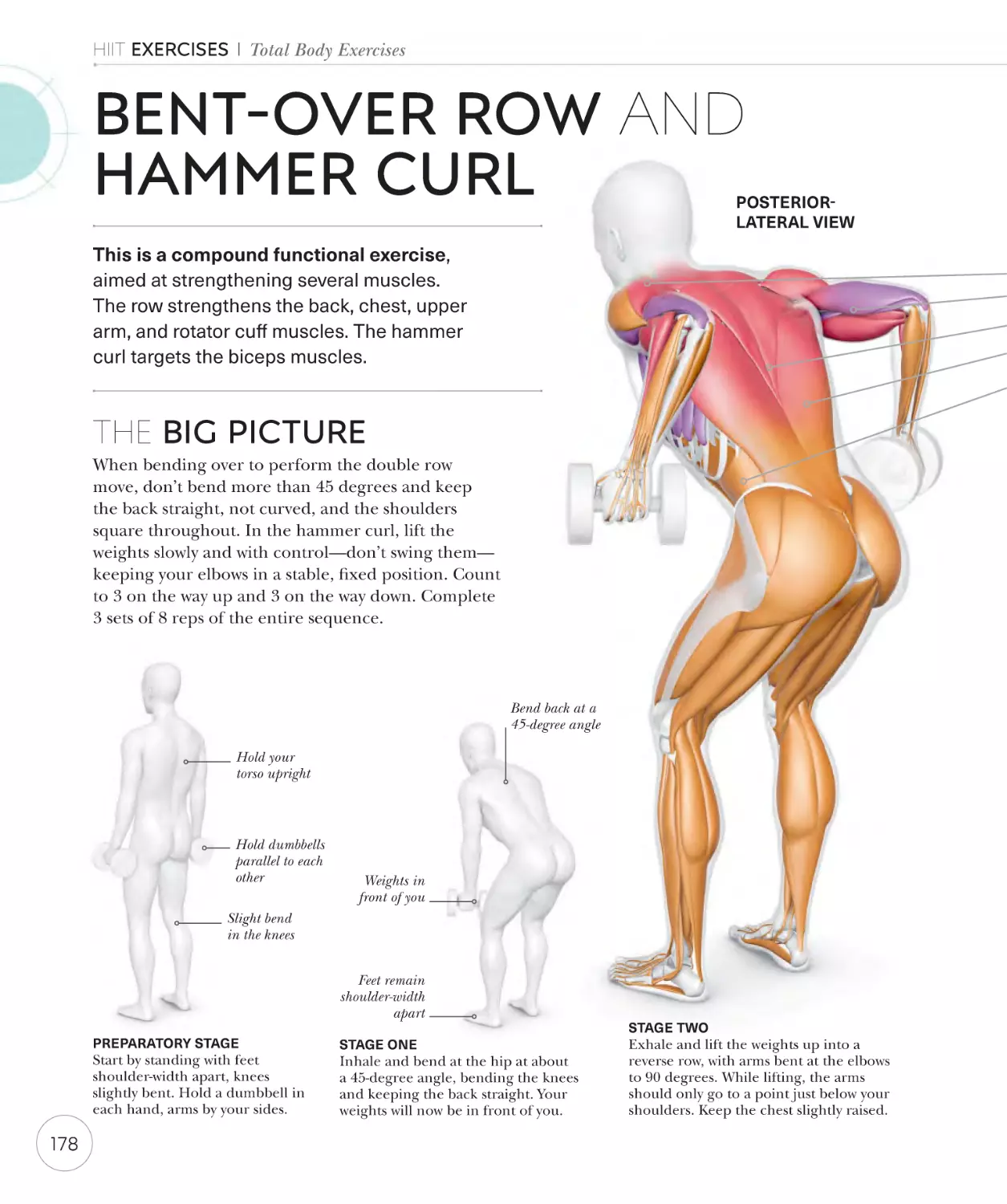 Bent-over row and hammer curl