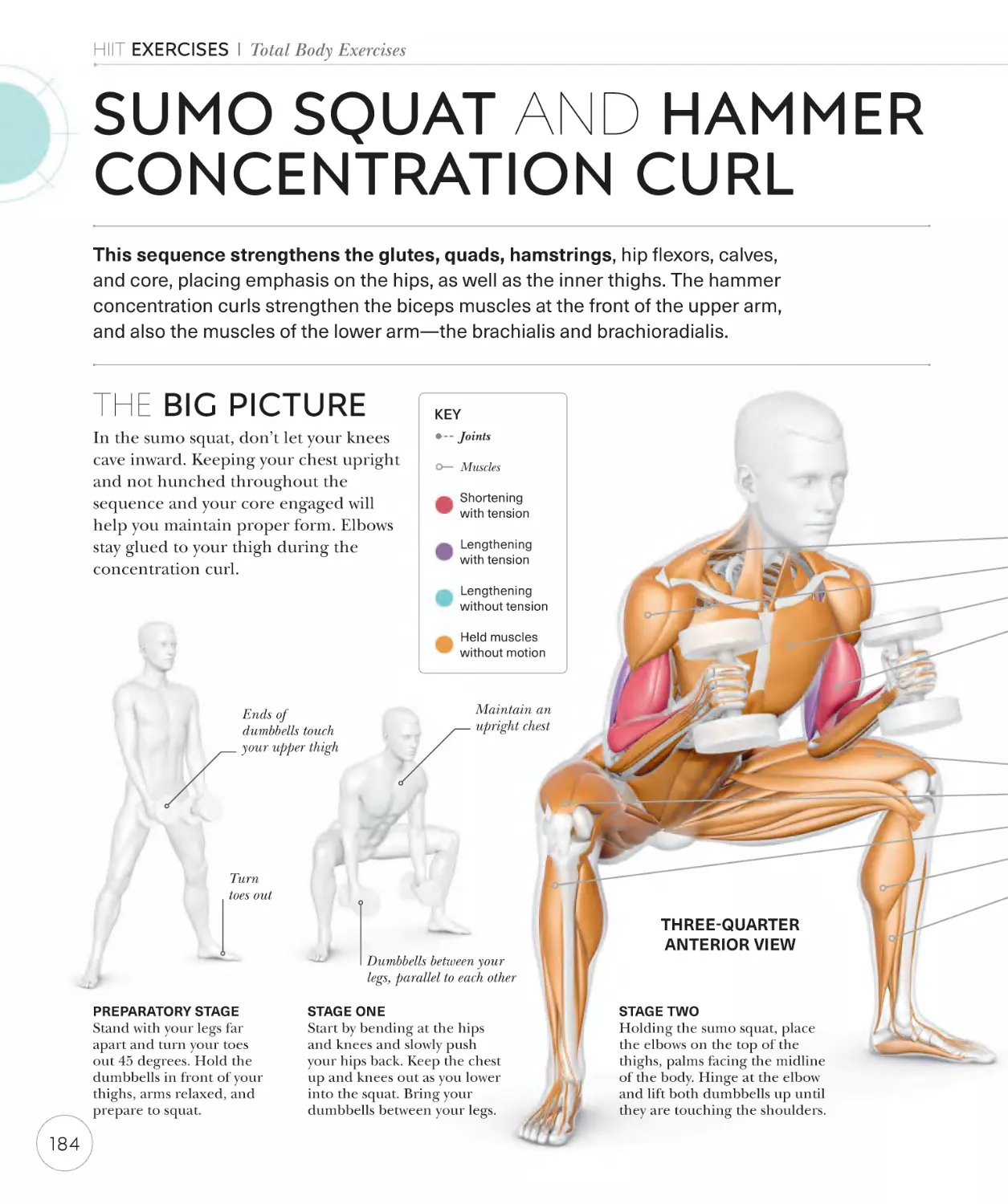 Sumo squat and hammer concentration curl