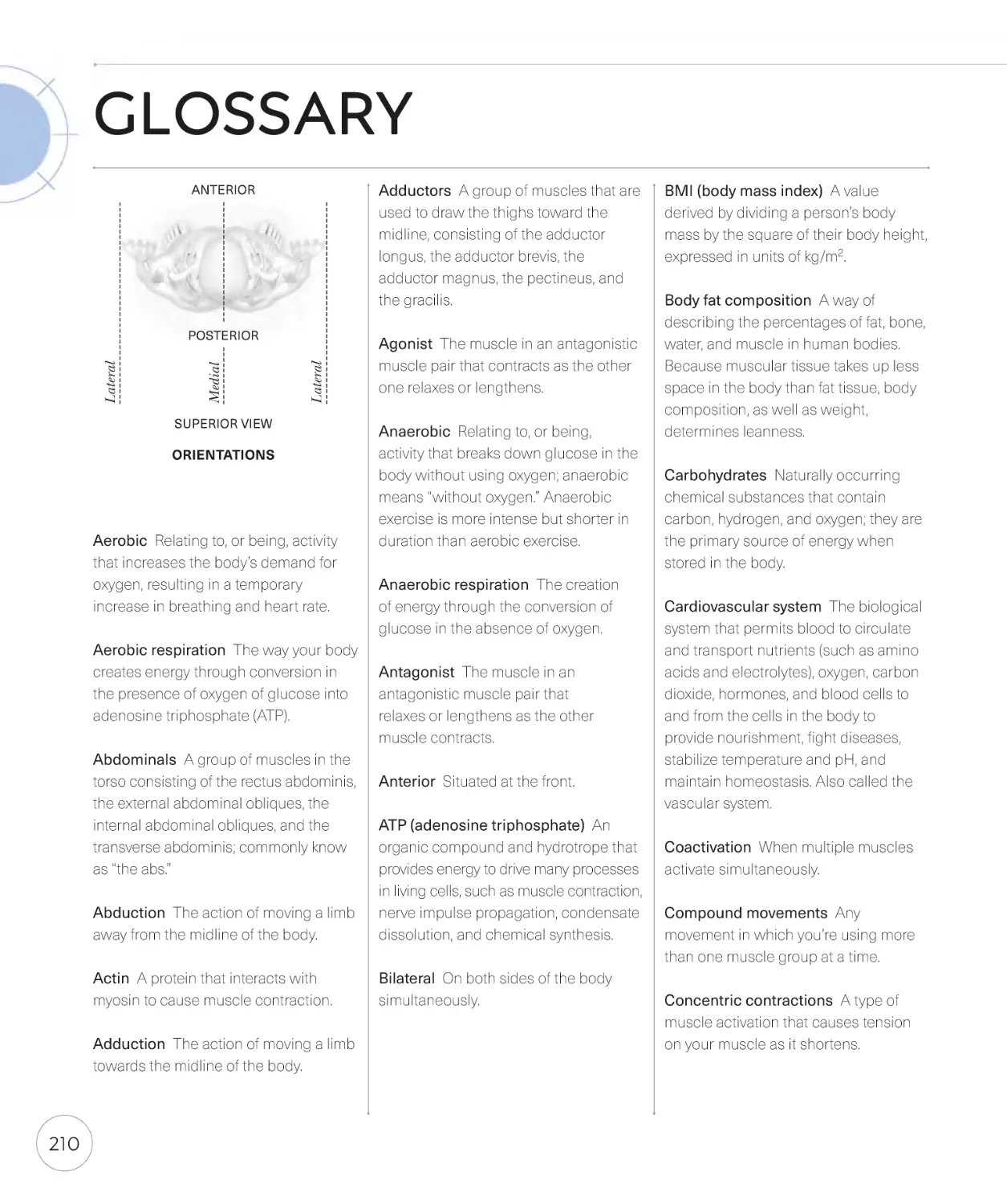 Glossary