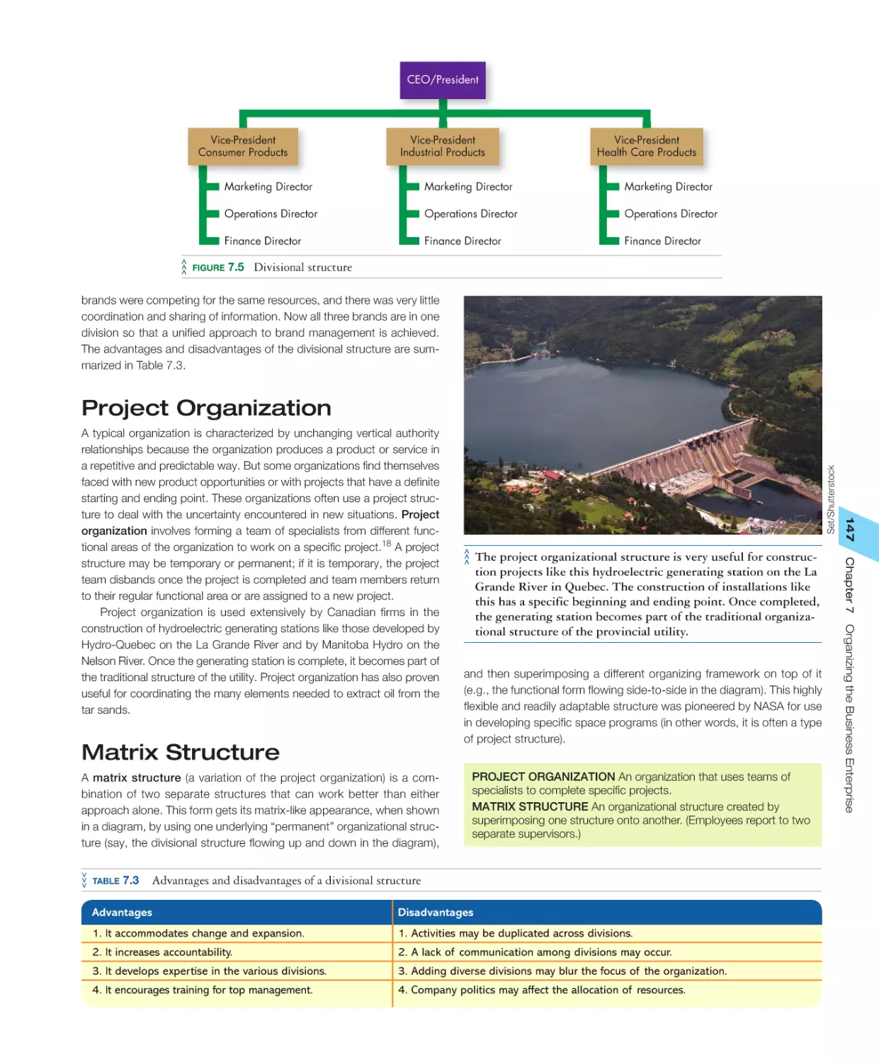 Project Organization
Matrix Structure