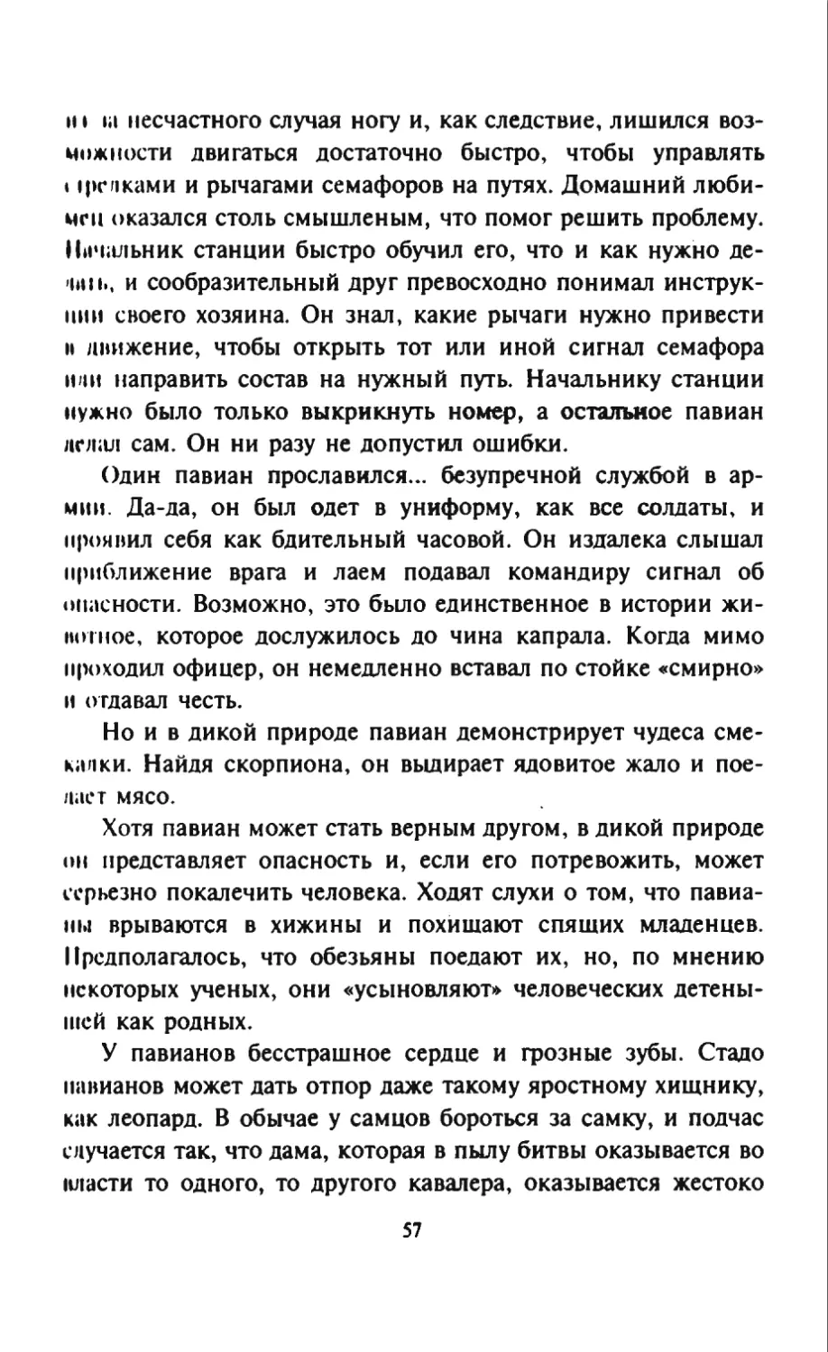 Талалай 1_page0029_2R