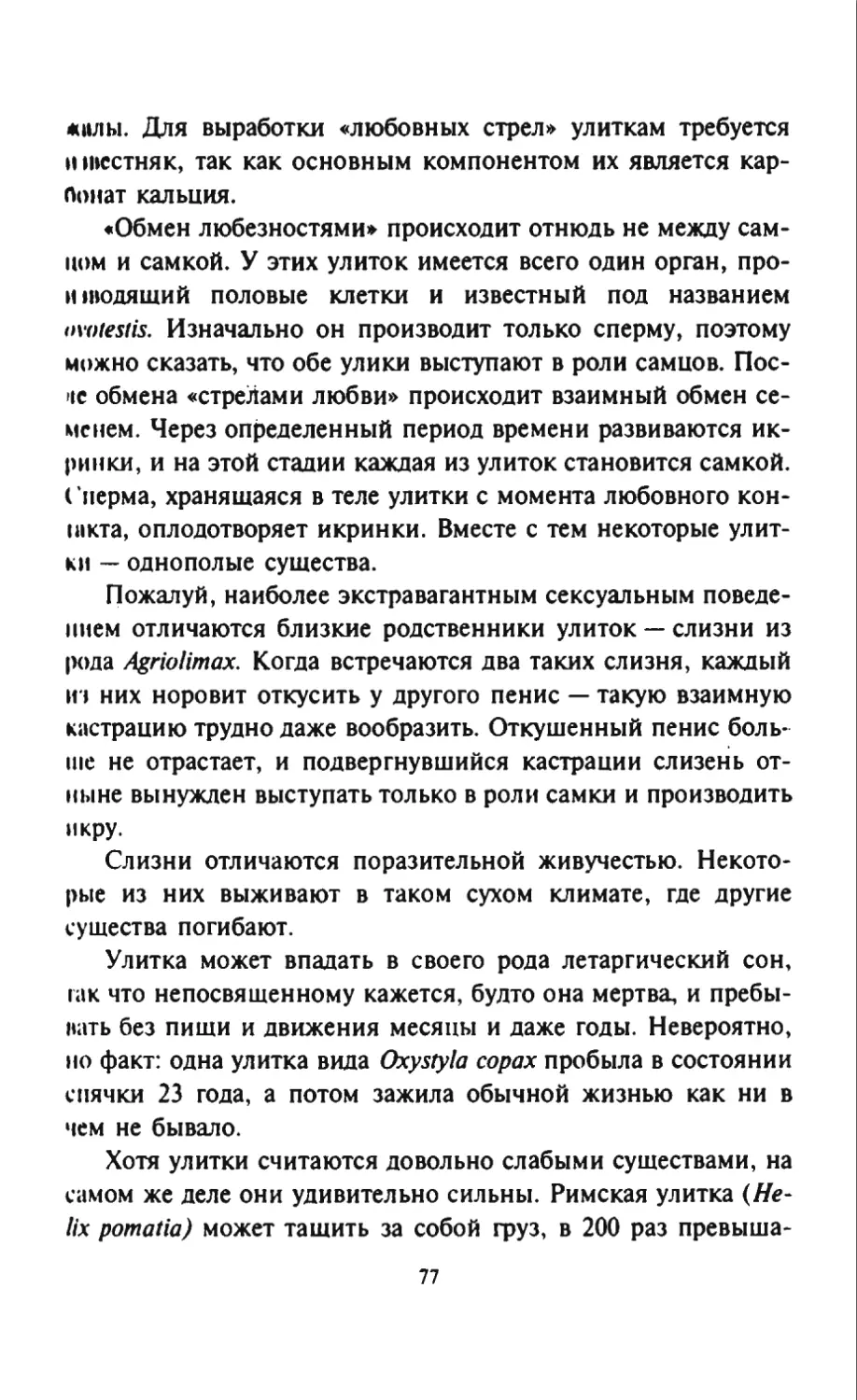 Талалай 1_page0039_2R