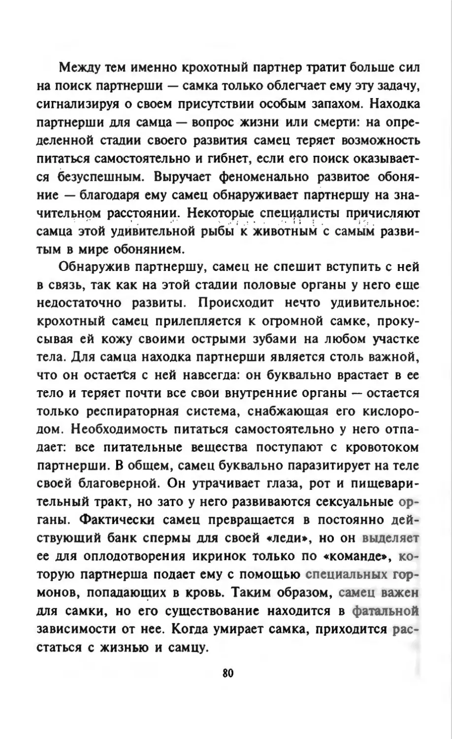 Талалай 1_page0041_1L