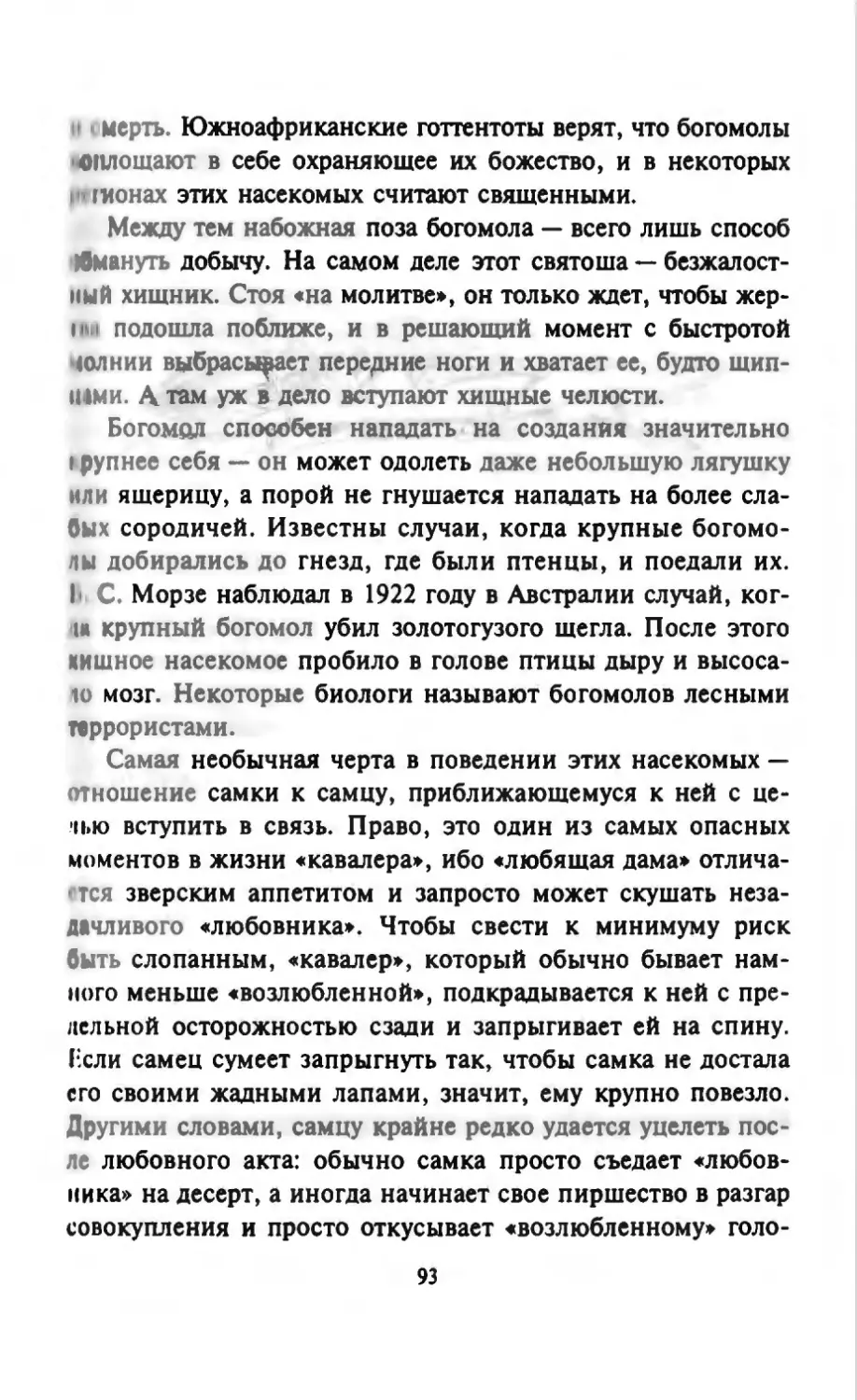 Талалай 1_page0047_2R