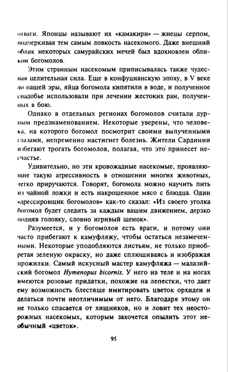 Талалай 1_page0048_2R