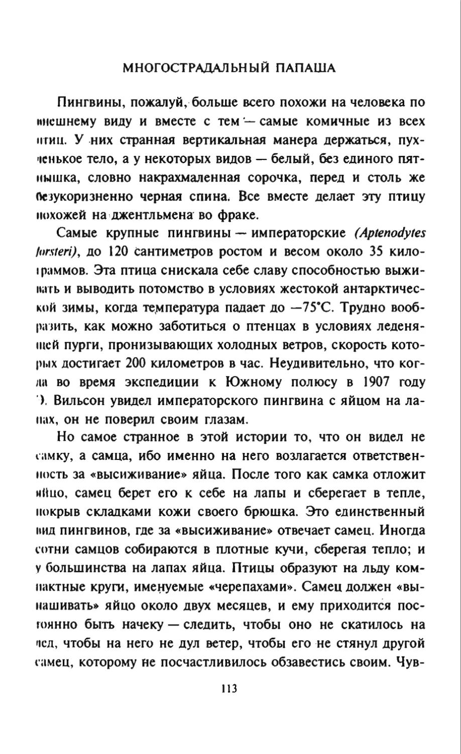 Талалай 1_page0057_2R