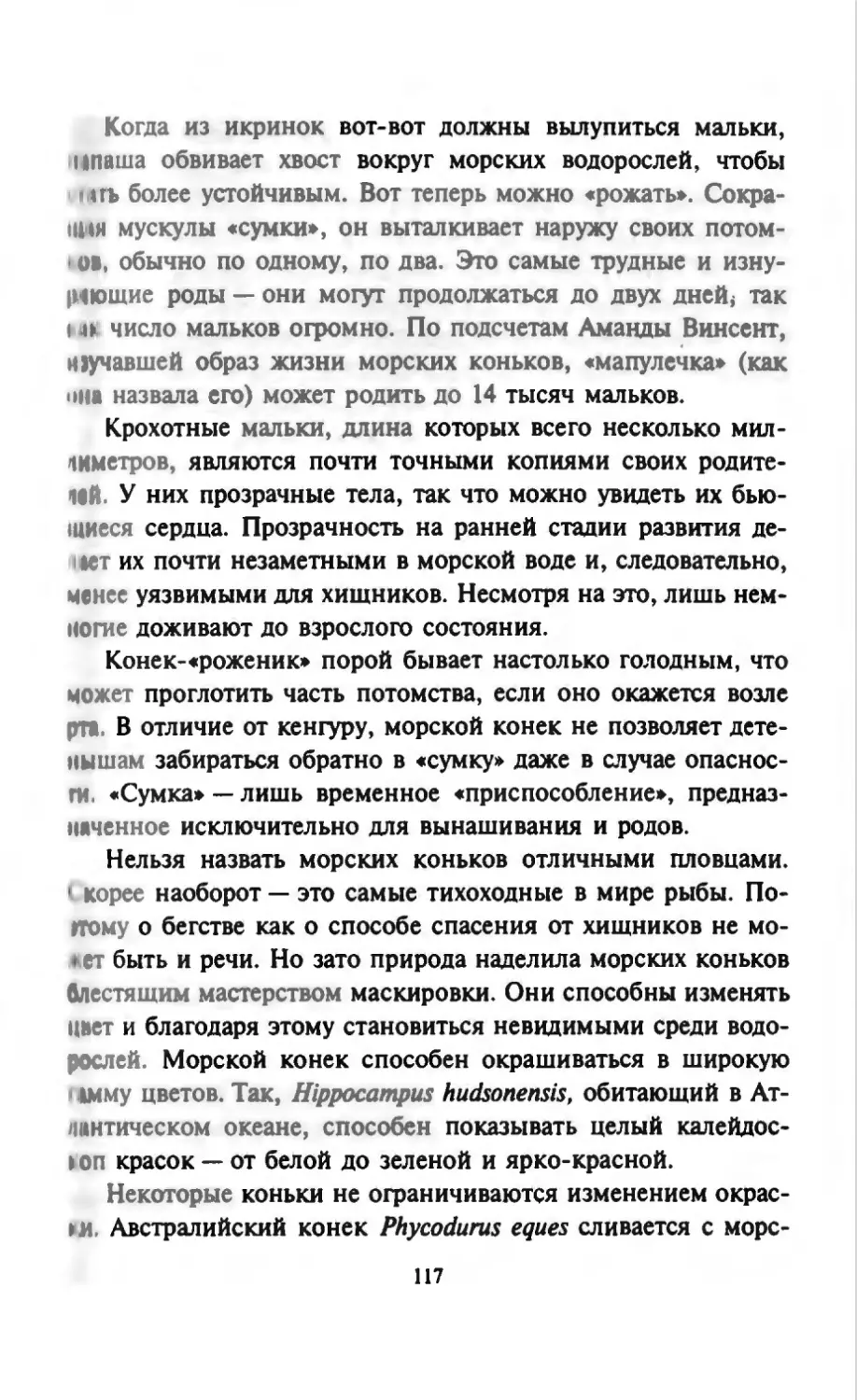 Талалай 1_page0059_2R