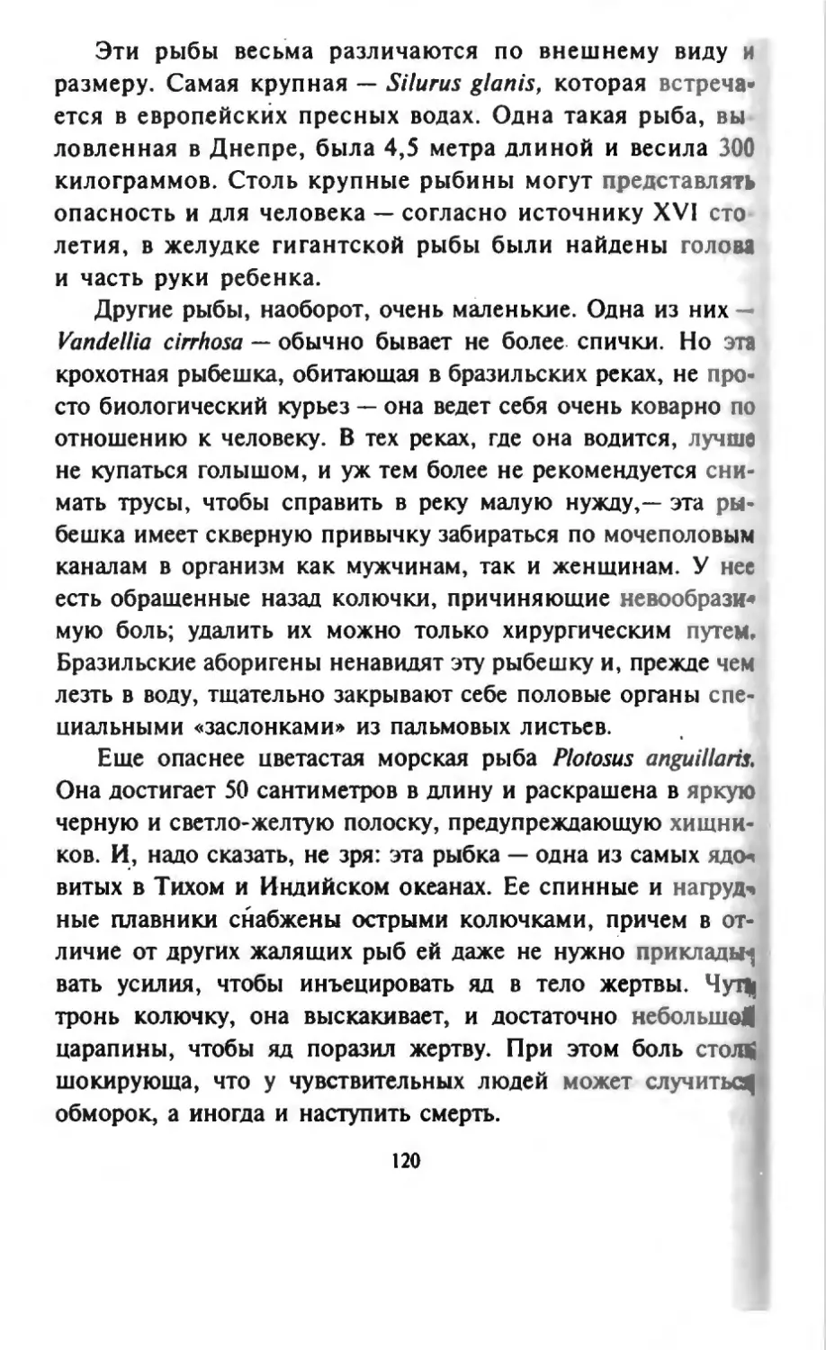 Талалай 1_page0061_1L