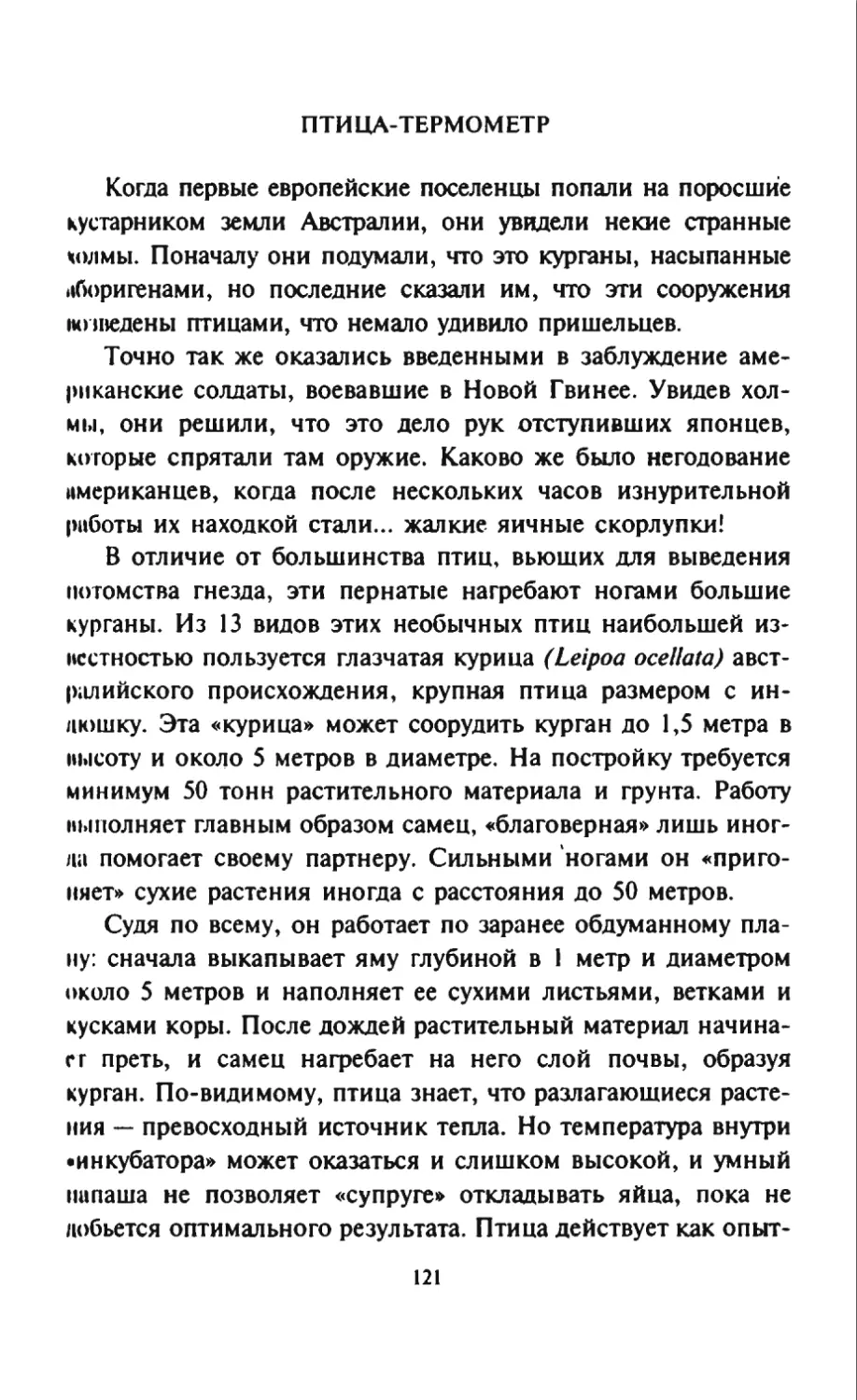 Талалай 1_page0061_2R