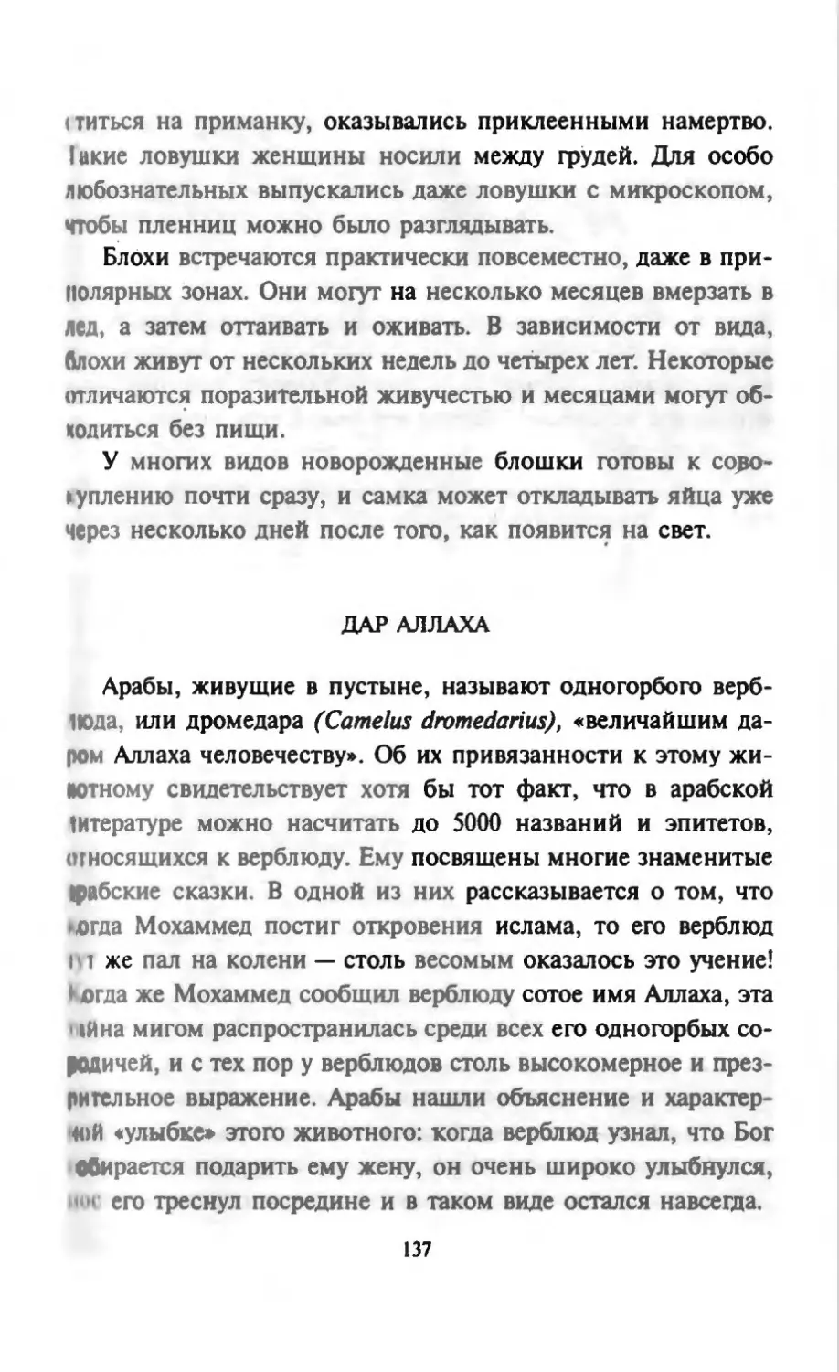 Талалай 1_page0069_2R