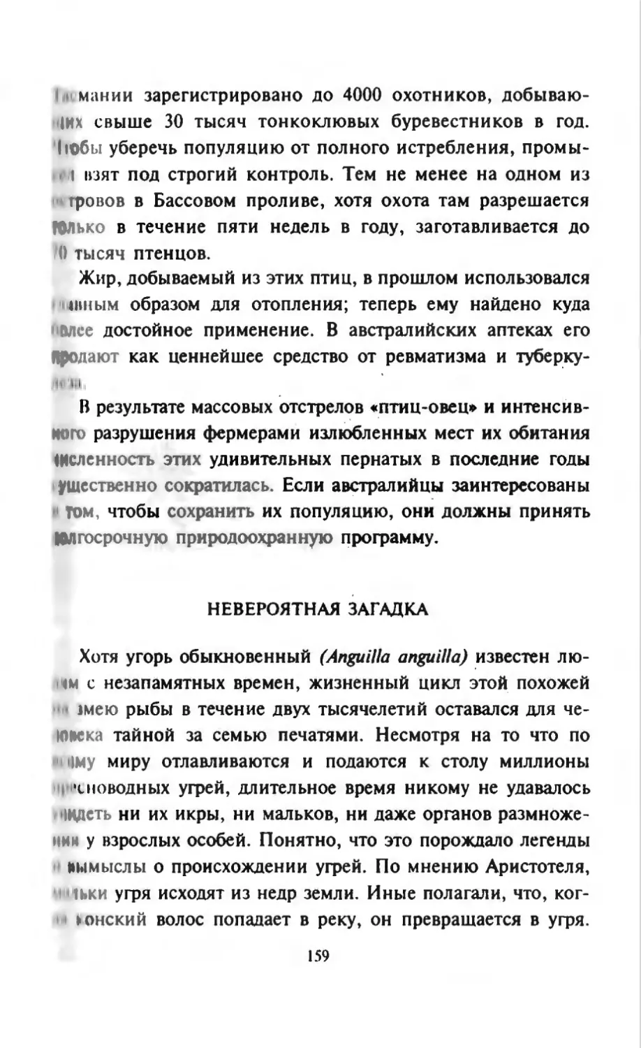 Талалай 1_page0080_2R