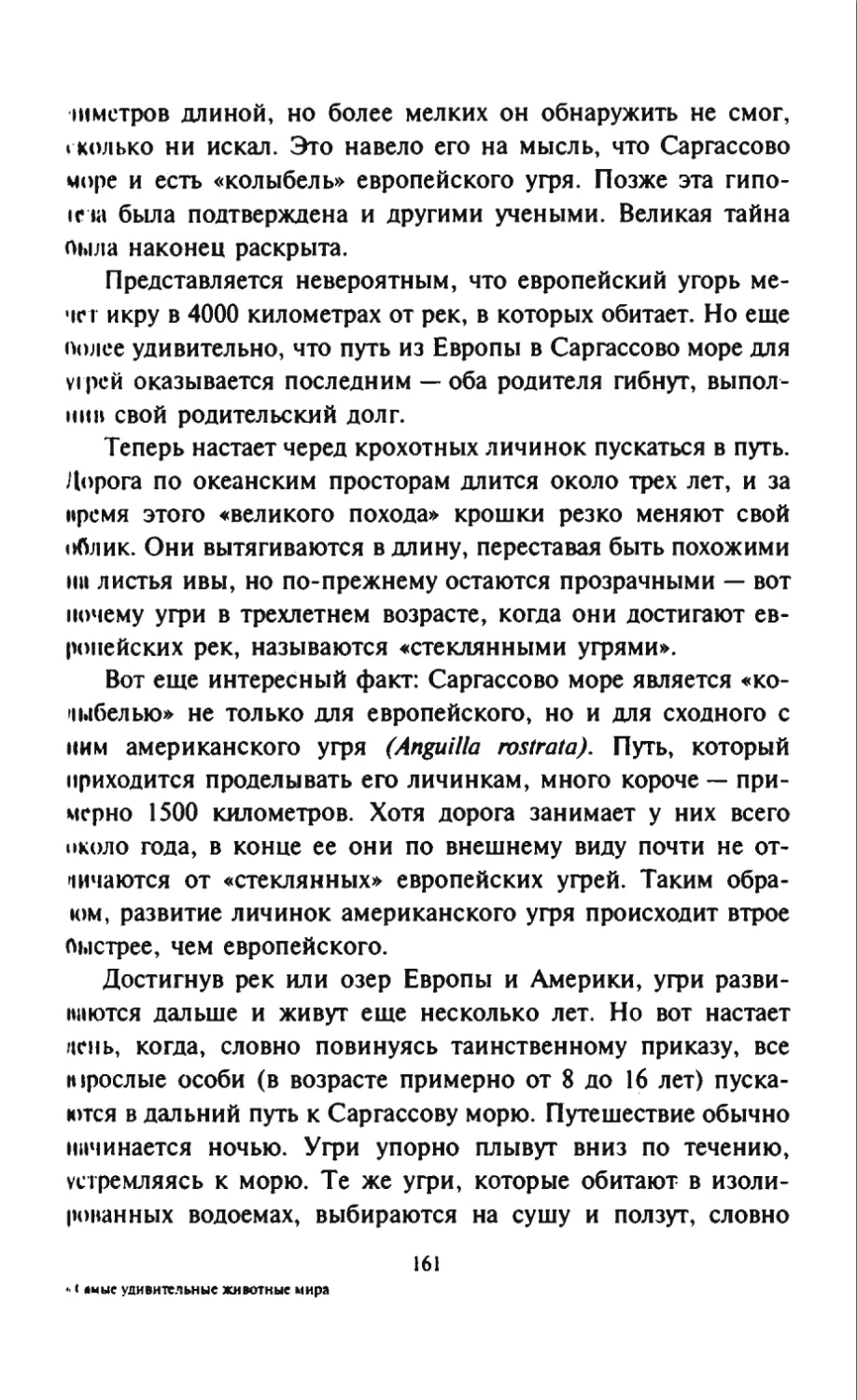 Талалай 1_page0081_2R