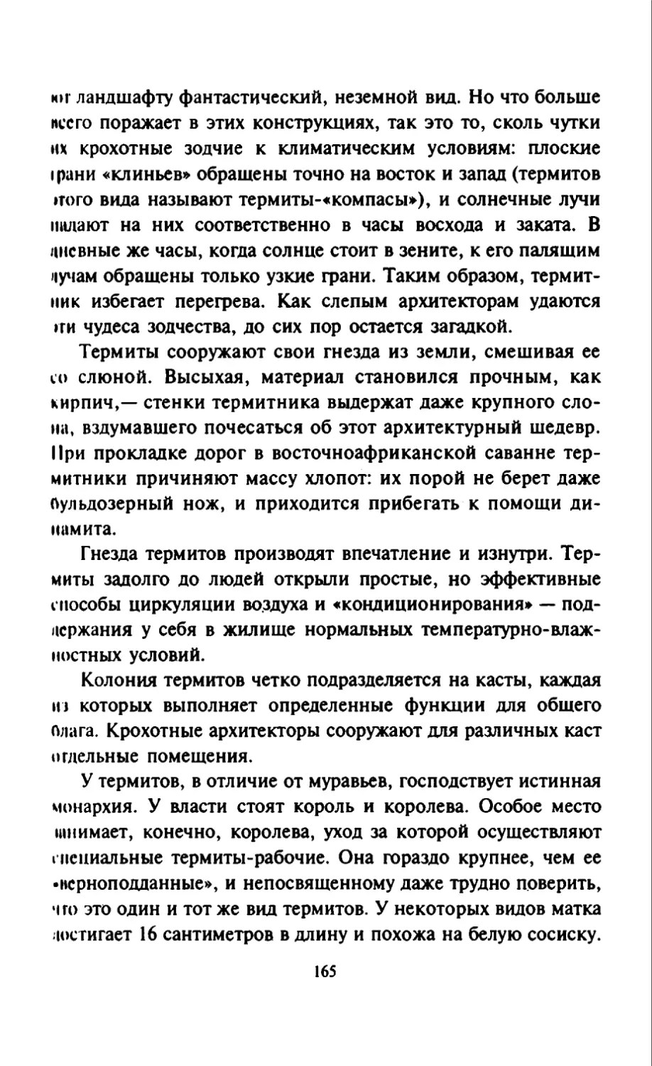 Талалай 1_page0083_2R