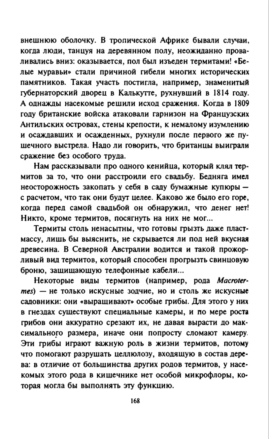 Талалай 1_page0085_1L