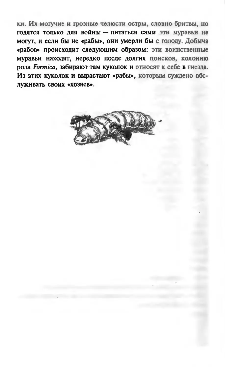 Талалай 1_page0087_1L