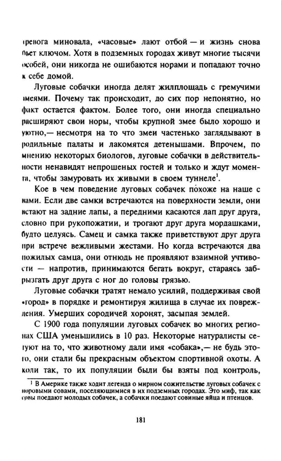 Талалай 1_page0091_2R