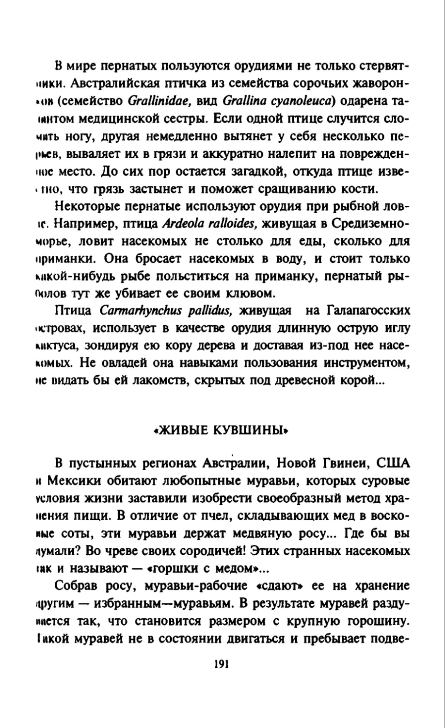 Талалай 1_page0096_2R