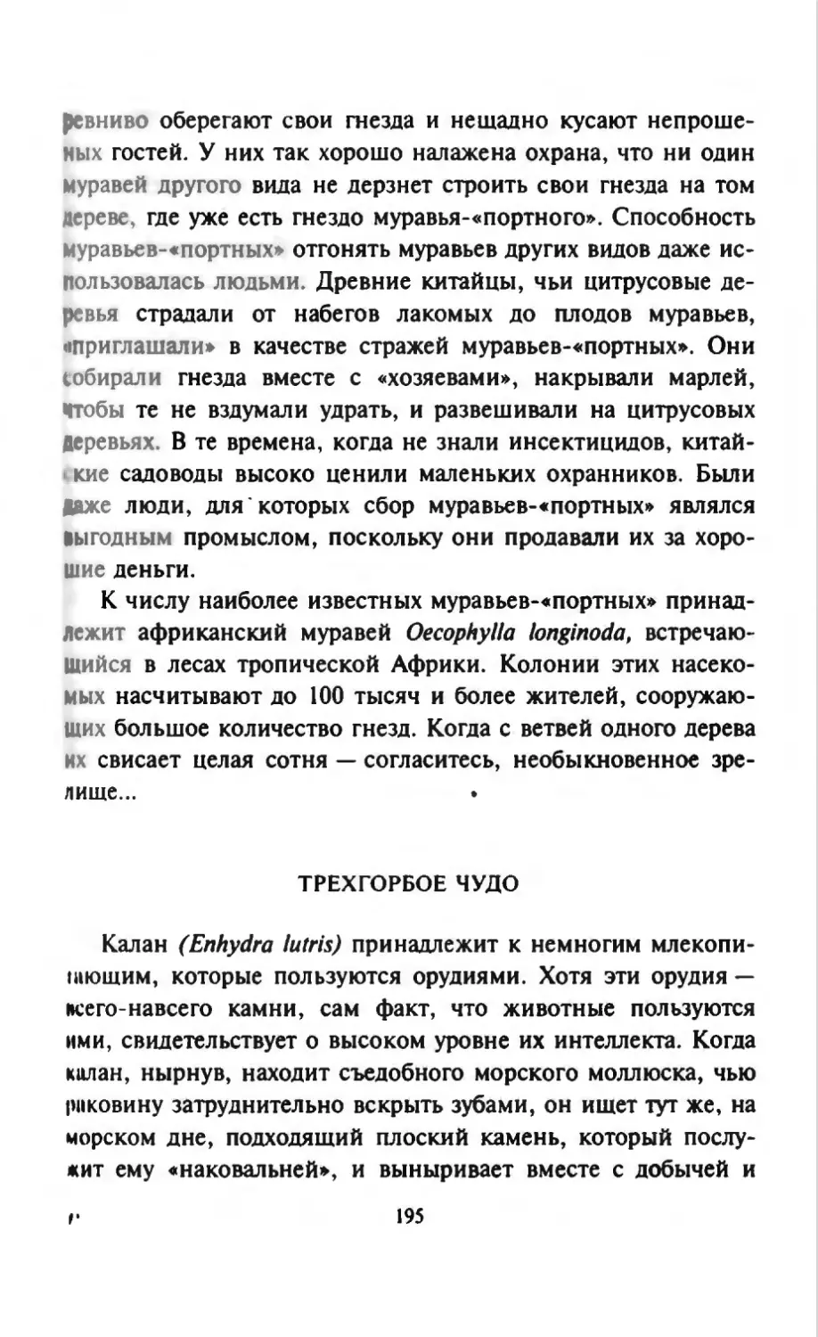 Талалай 1_page0098_2R