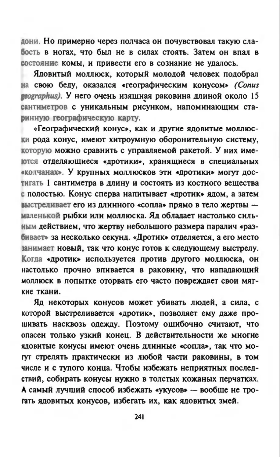 Талалай 1_page0121_2R