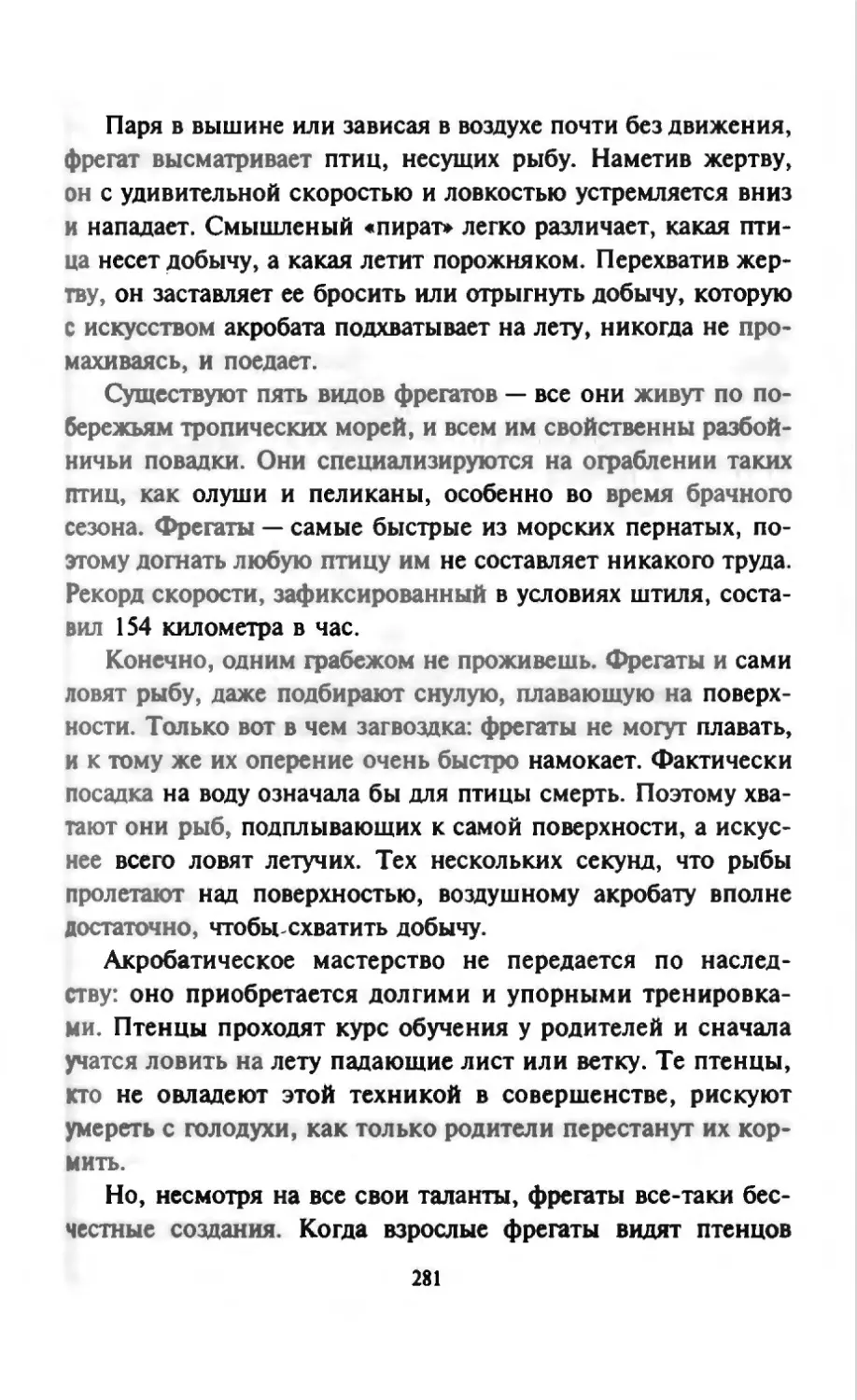 Талалай 1_page0141_2R