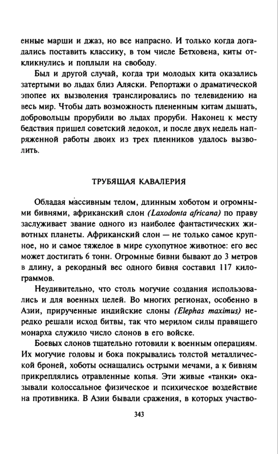 Талалай 1_page0172_2R