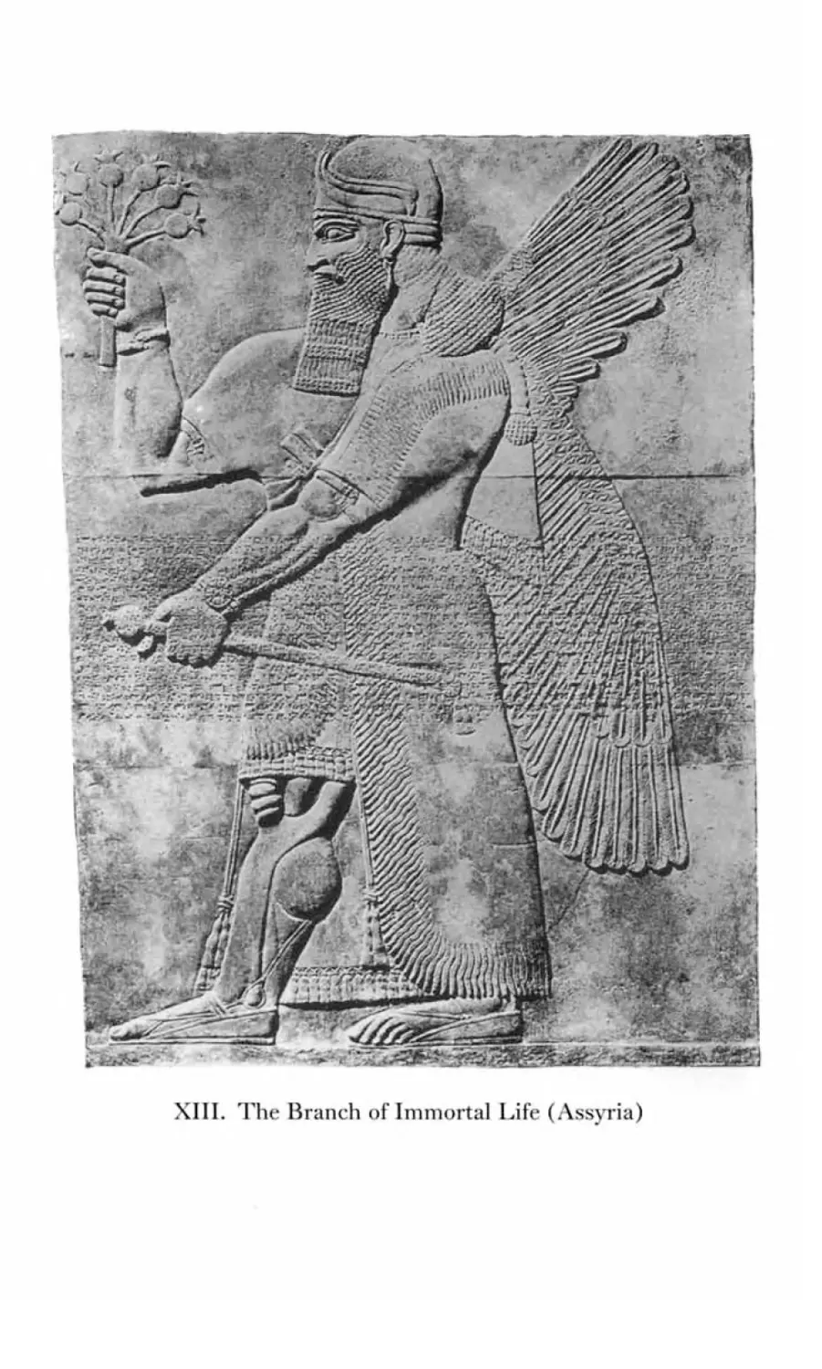 XIII  The Branch of Immortal Life (Assyria)