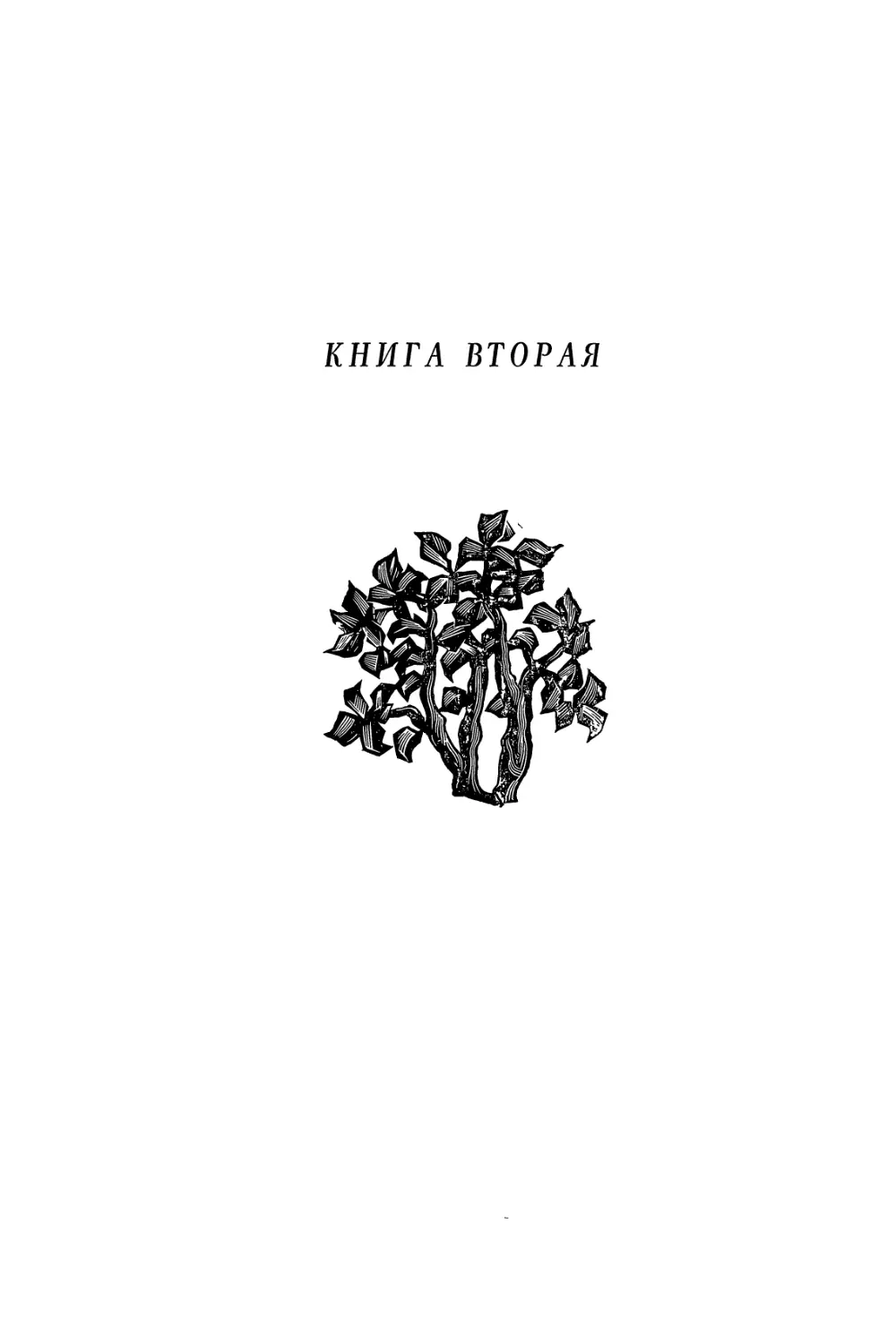 КНИГА ВТОРАЯ