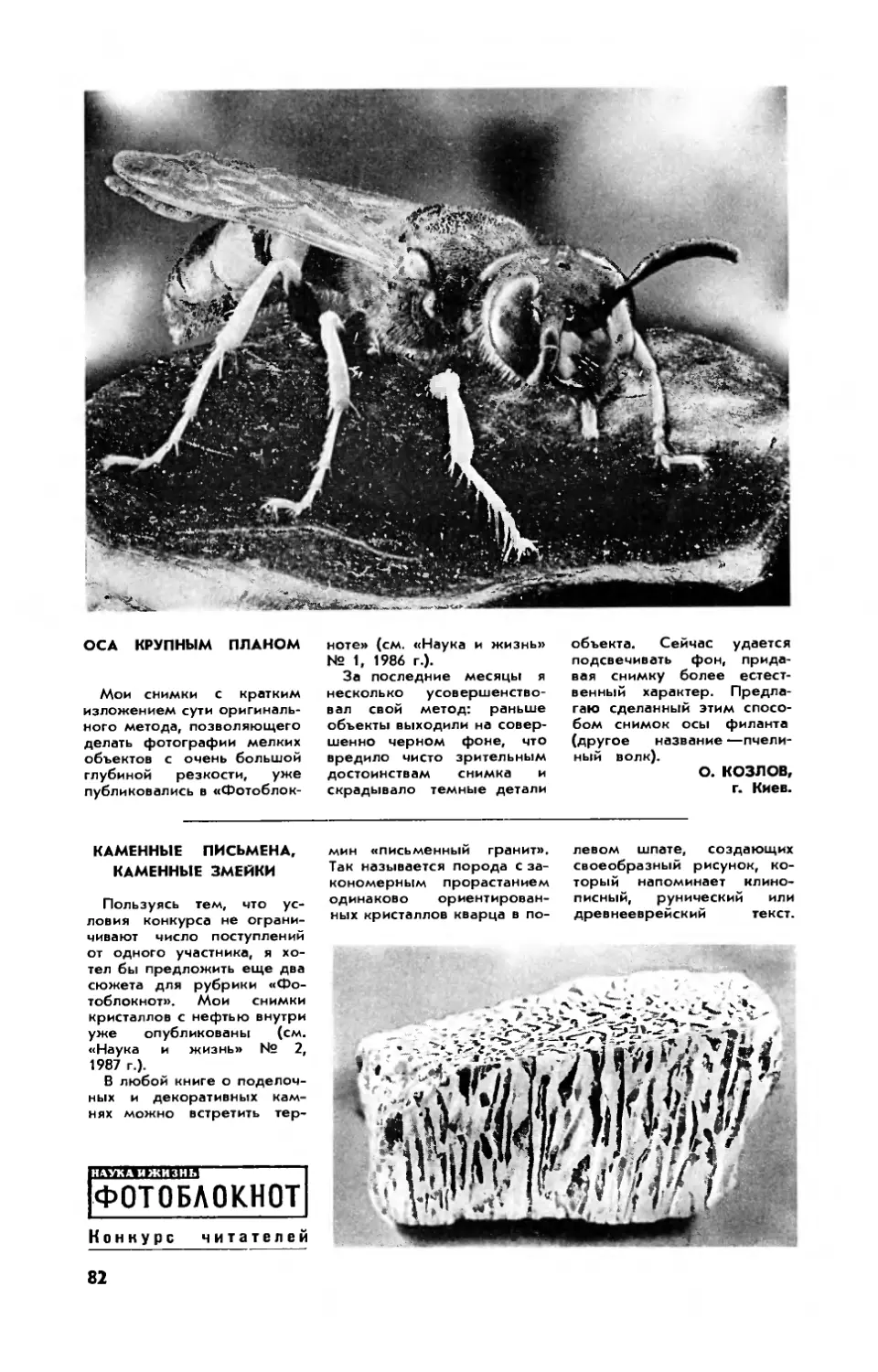 О. КОЗЛОВ — Оса крупным планом
Ю. ЛЕВИЦКИЙ — Каменные письмена, каменные змейки