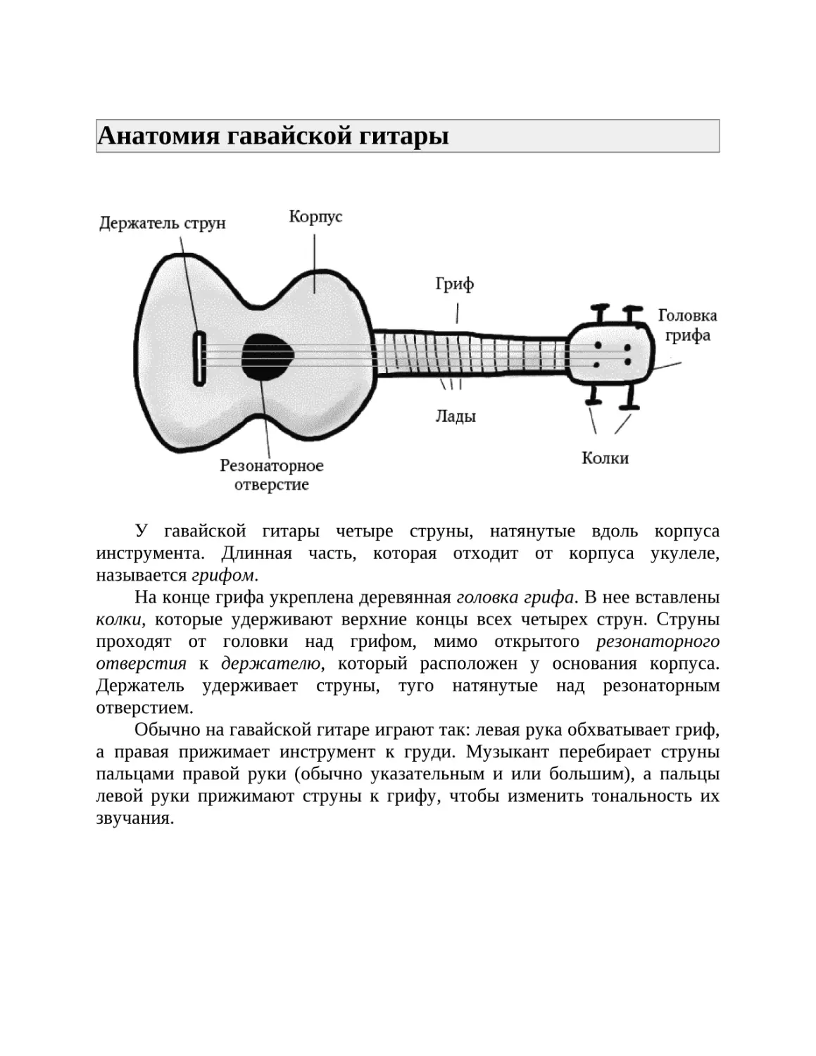 Анатомия гавайской гитары