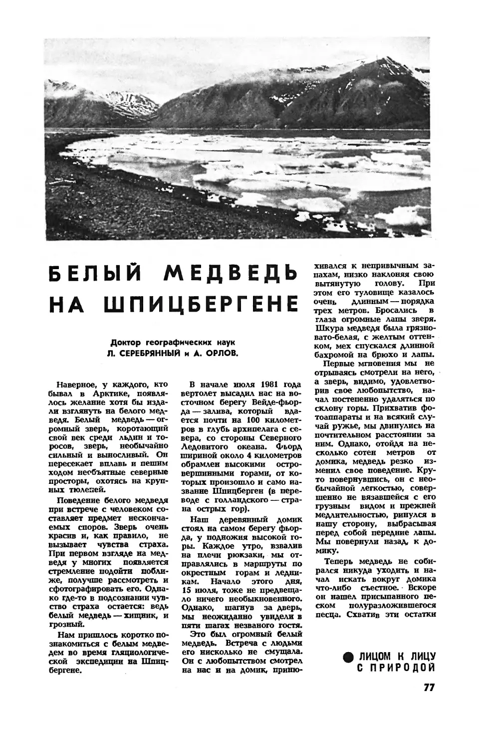 Л. СЕРЕБРЯННЫЙ, докт. геогр. наук, А. ОРЛОВ — Белый медведь на Шпицбергене