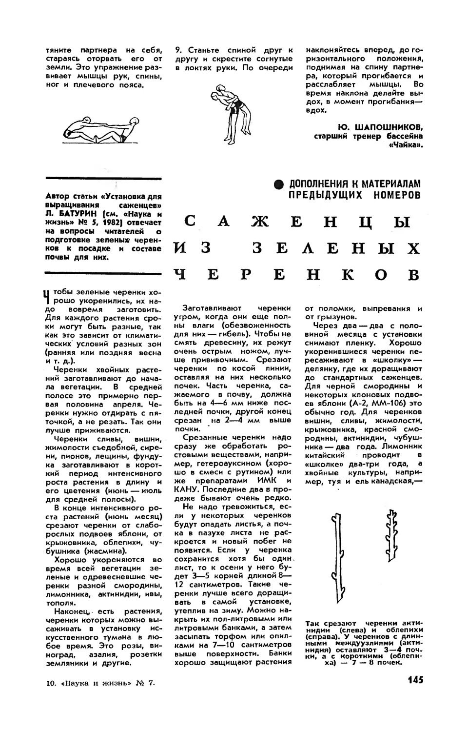 [Дополнения к материалам предыдущих номеров] — Л. БАТУРИН — Саженцы из зеленых черенков