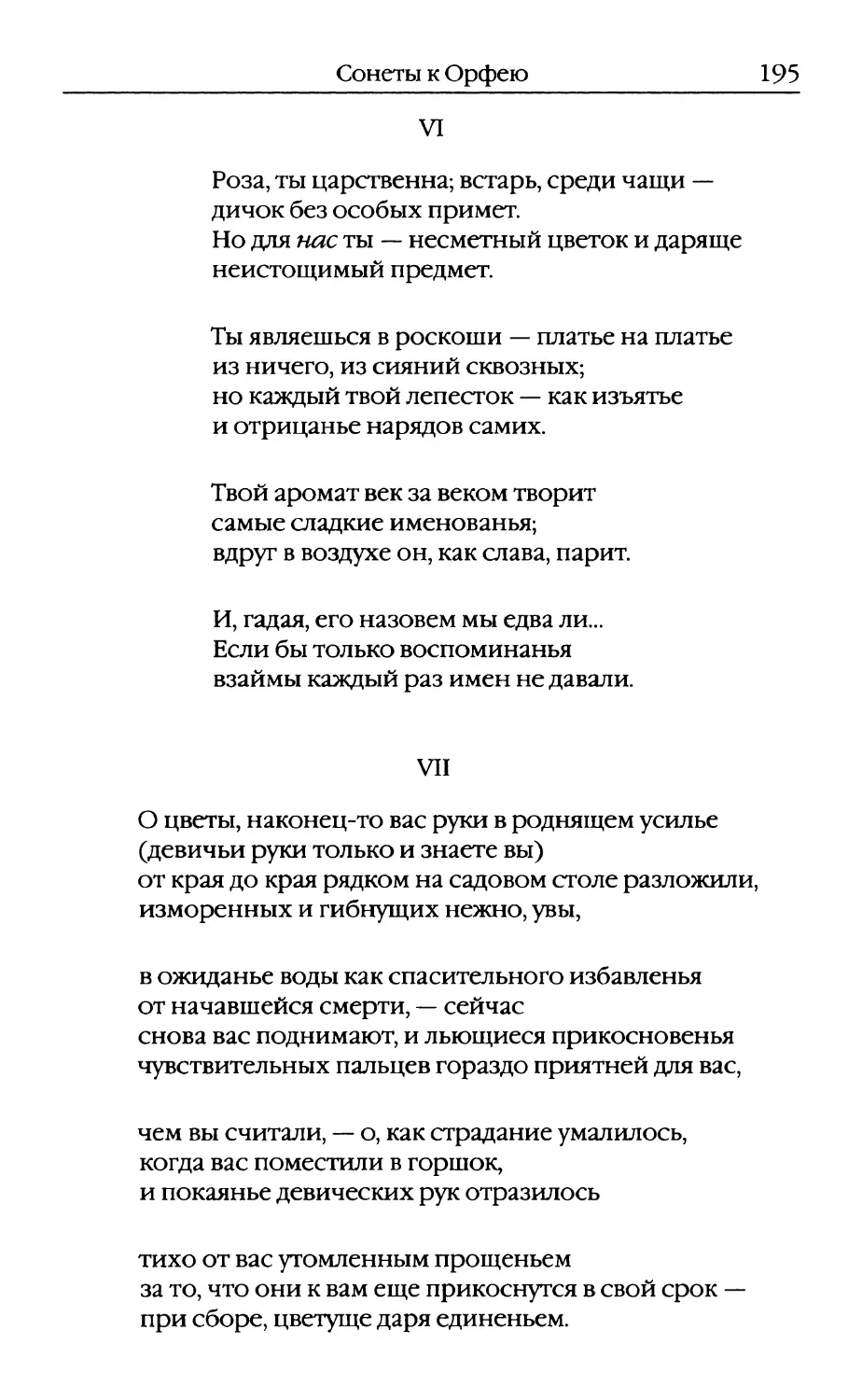 VI. «Роза, ты царственна; встарь, среди чащи...»