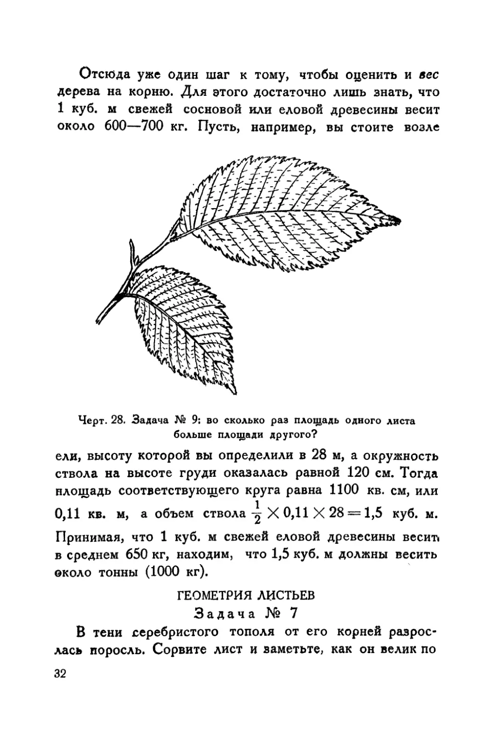 Геометрия листьев