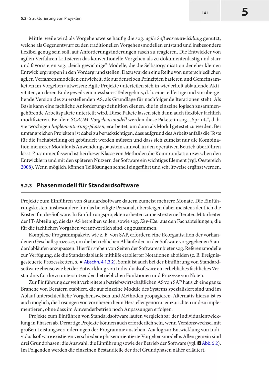 5.2.3 Phasenmodell für Standardsoftware