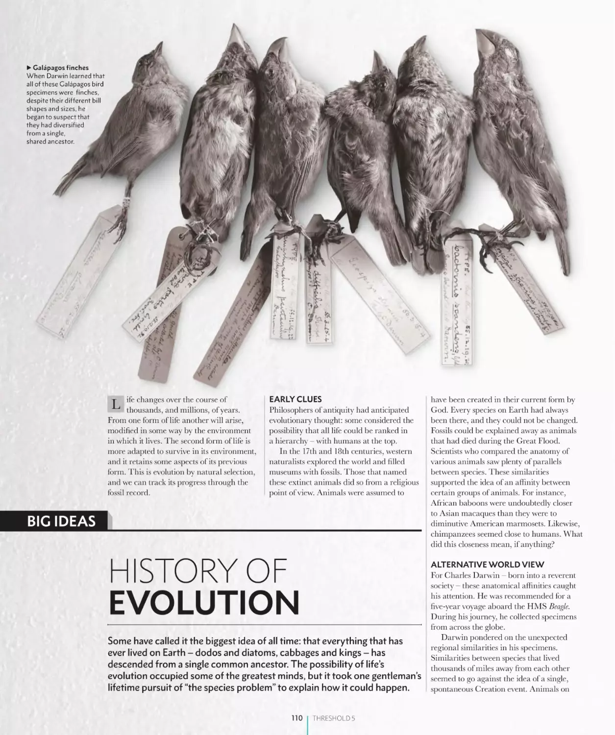 HISTORY OF EVOLUTION