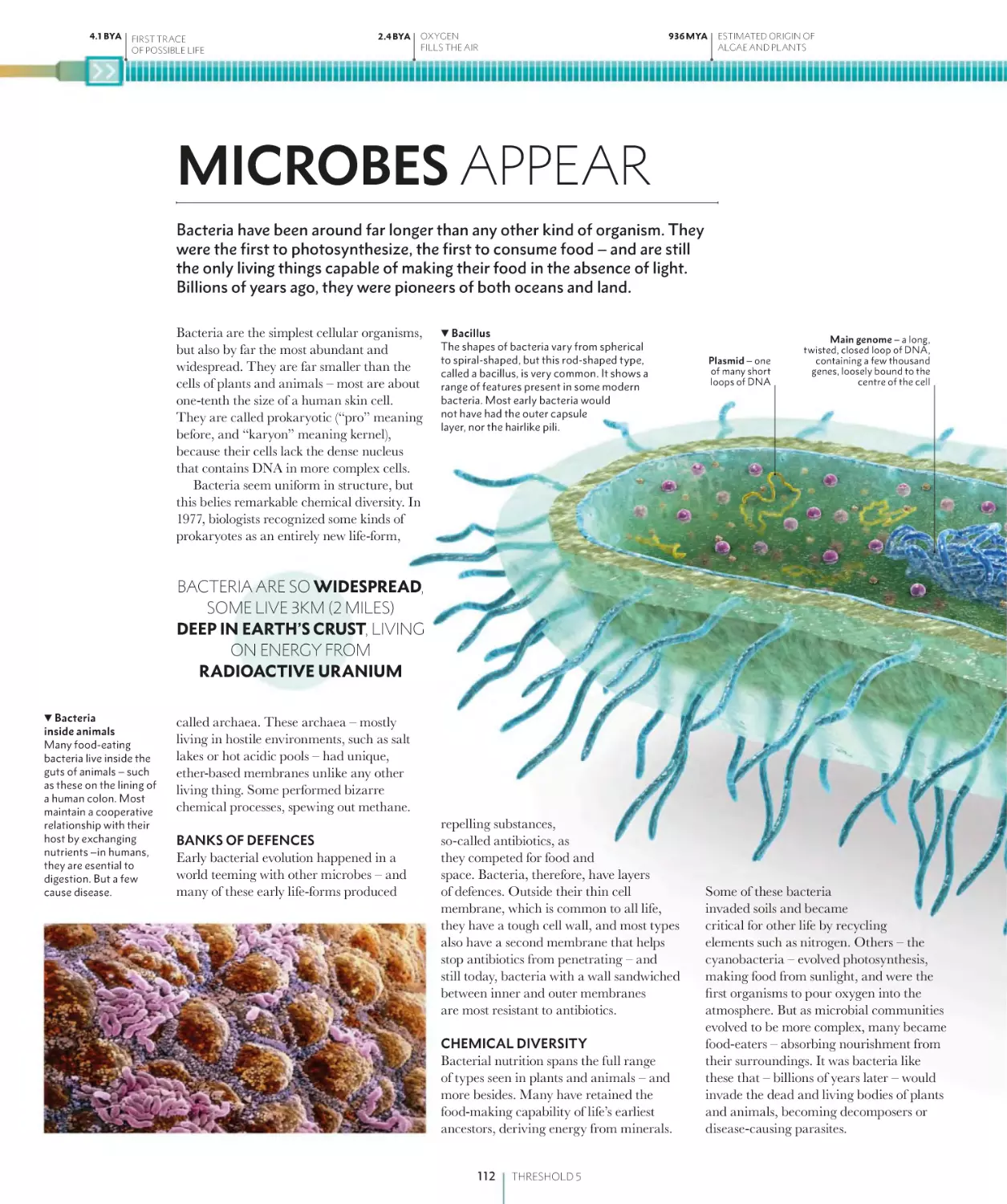 MICROBES APPEAR