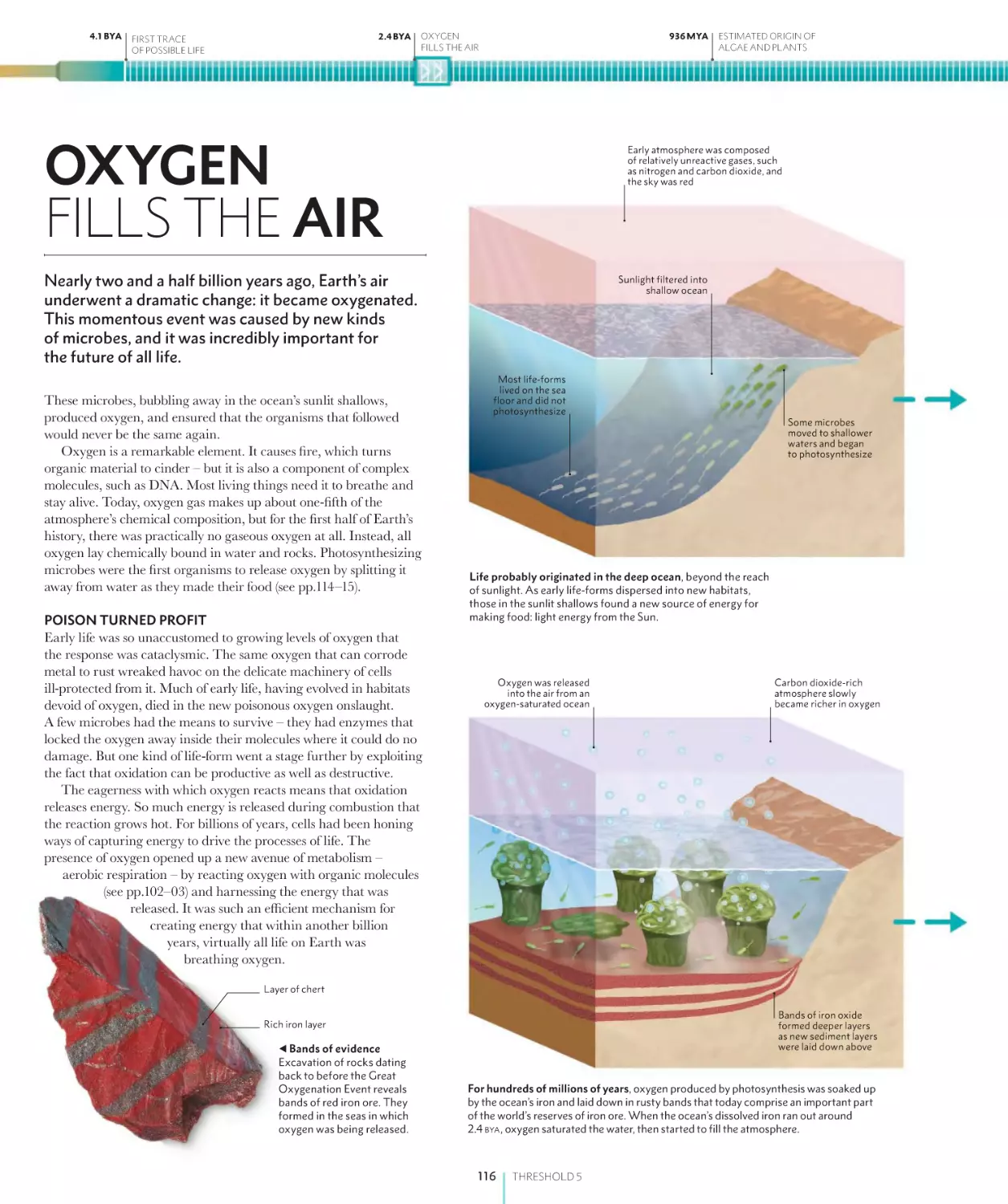 OXYGEN FILLS THE AIR