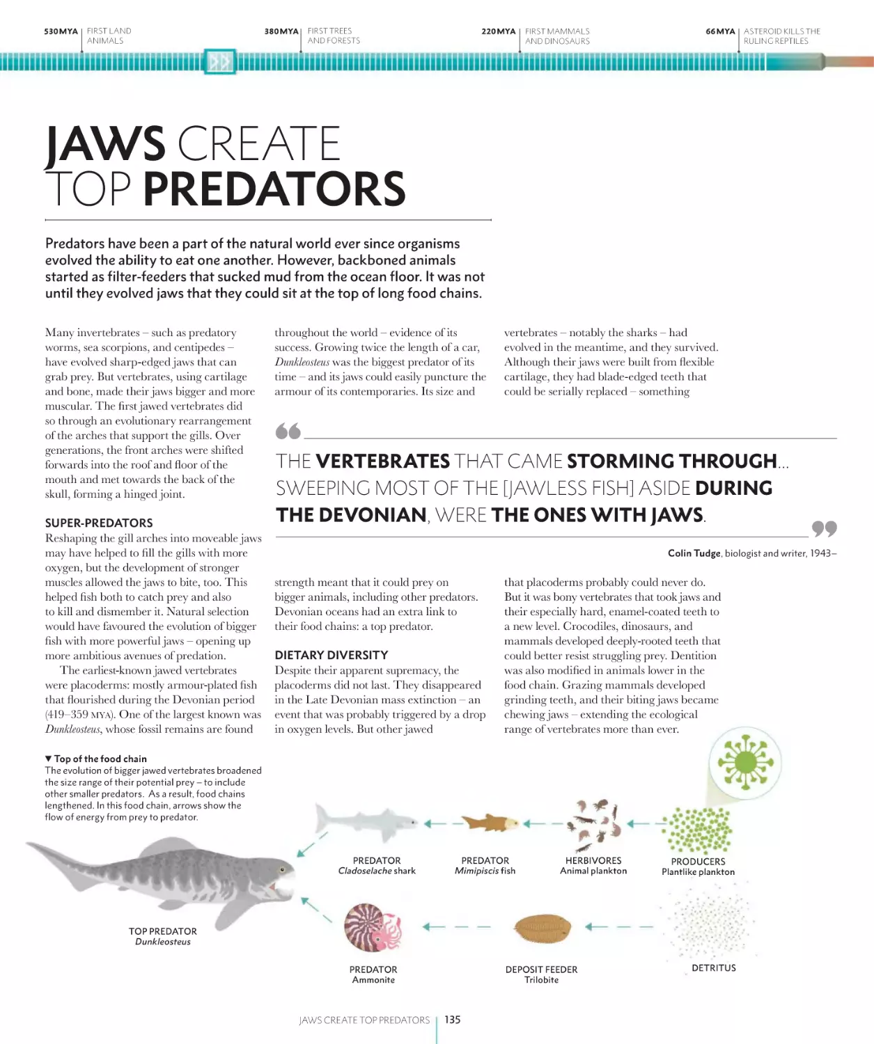 JAWS CREATE TOP PREDATORS