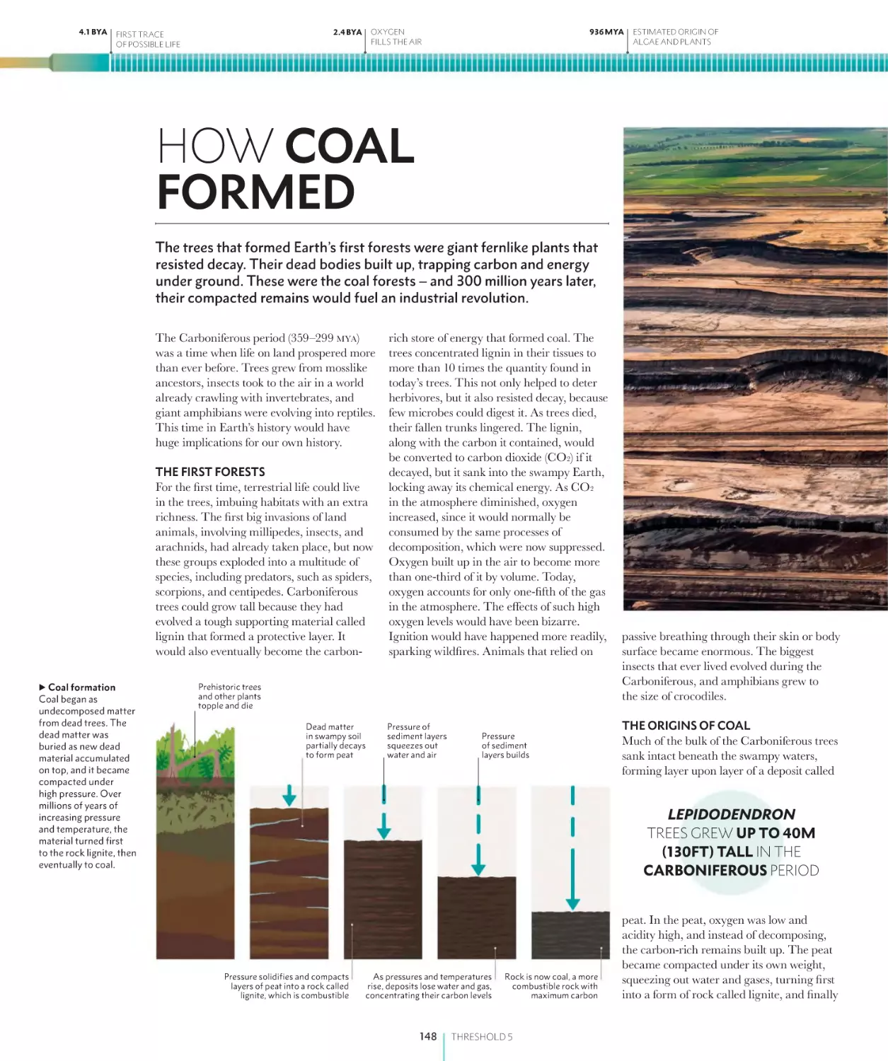 HOW COAL FORMED