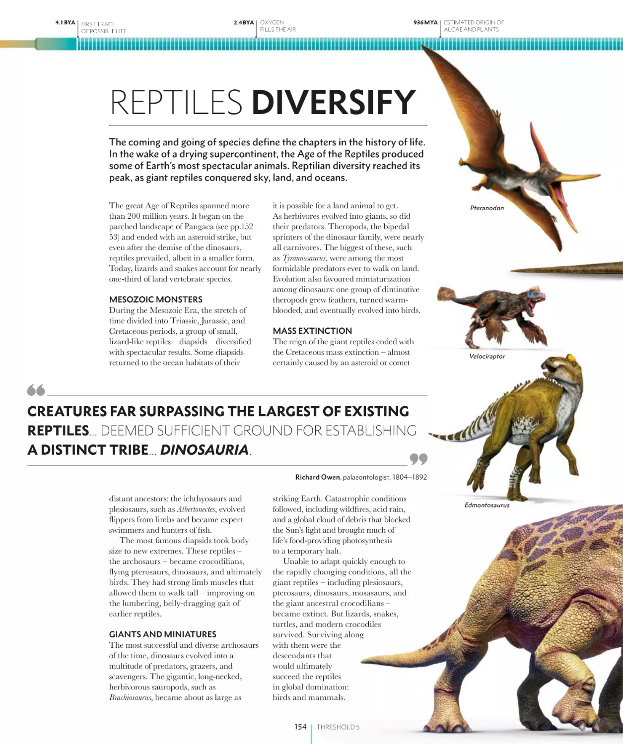 REPTILES DIVERSIFY