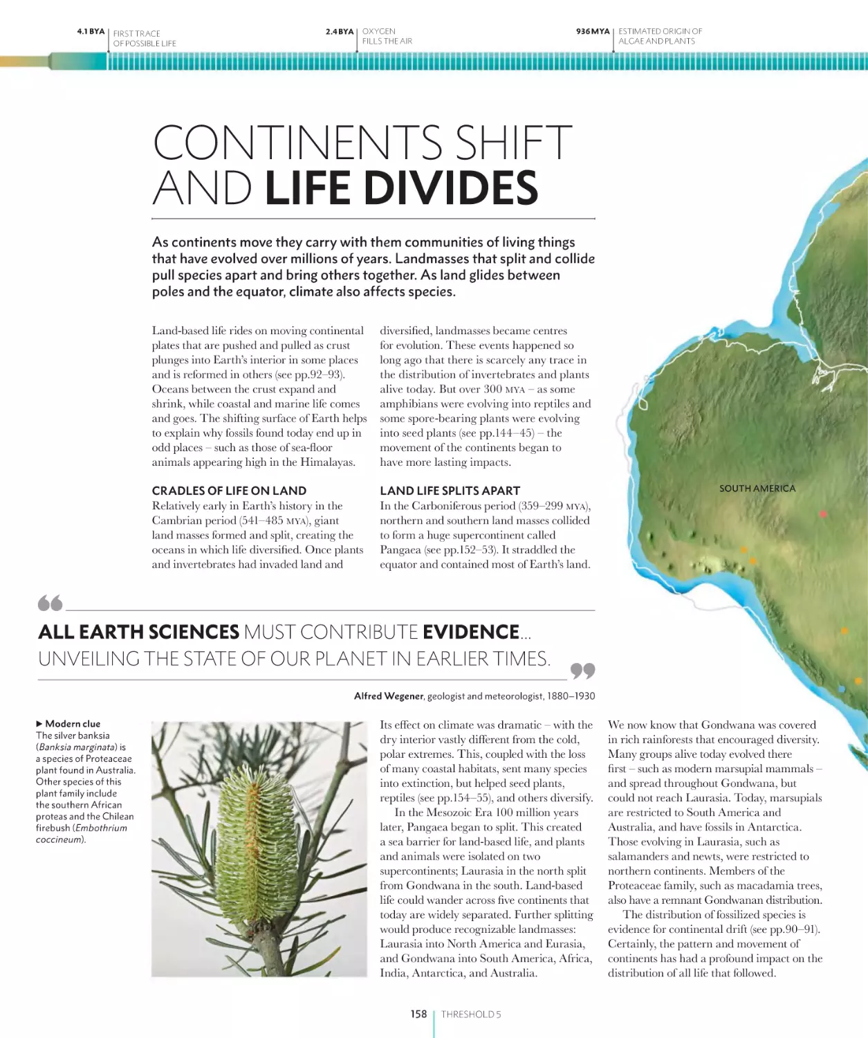 CONTINENTS SHIFT AND LIFE DIVIDES