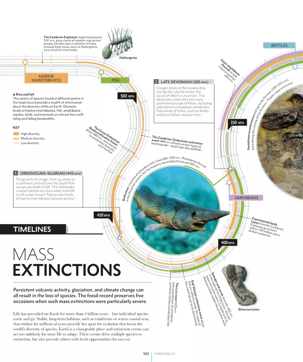 MASS EXTINCTIONS