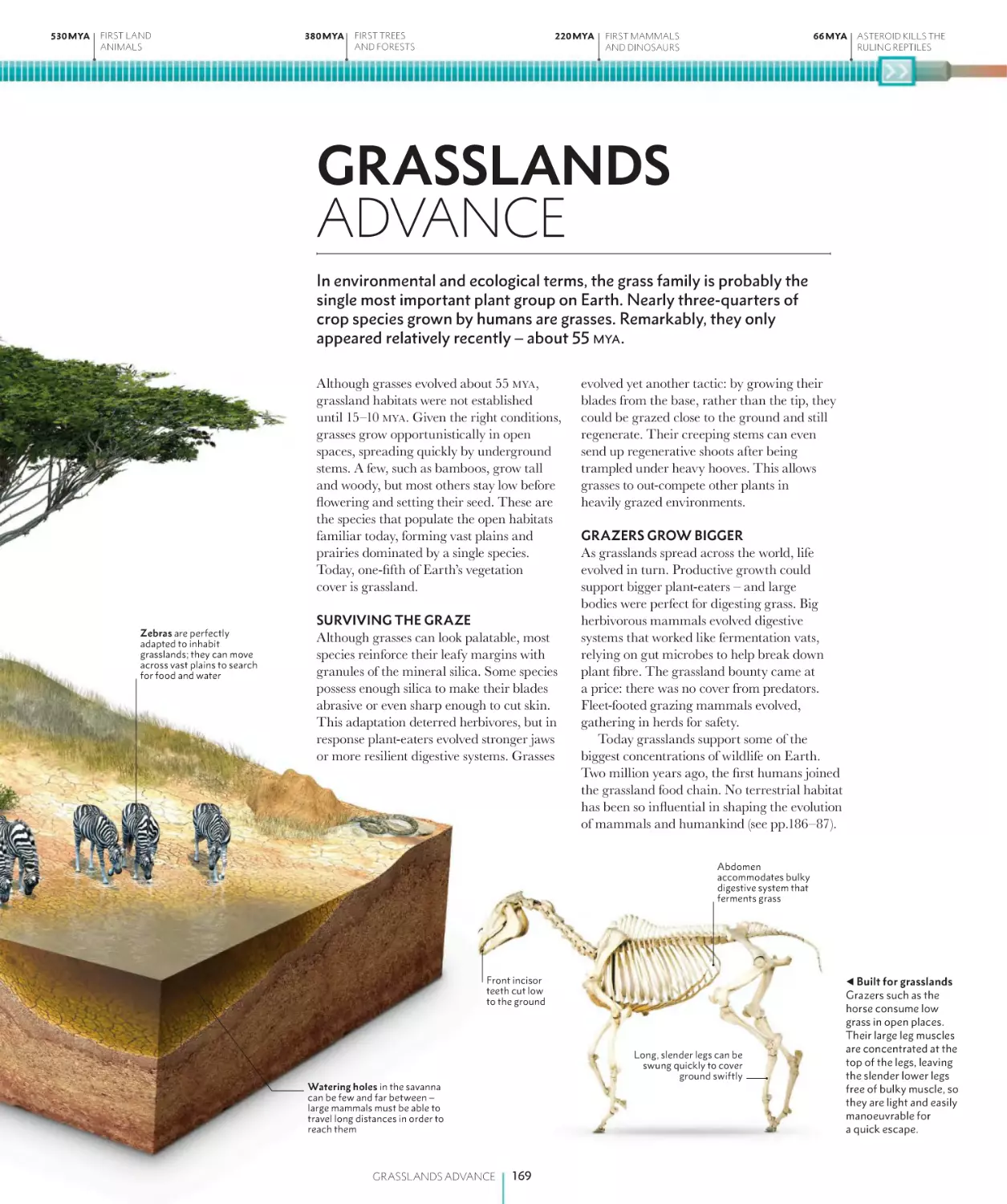 GRASSLANDS ADVANCE