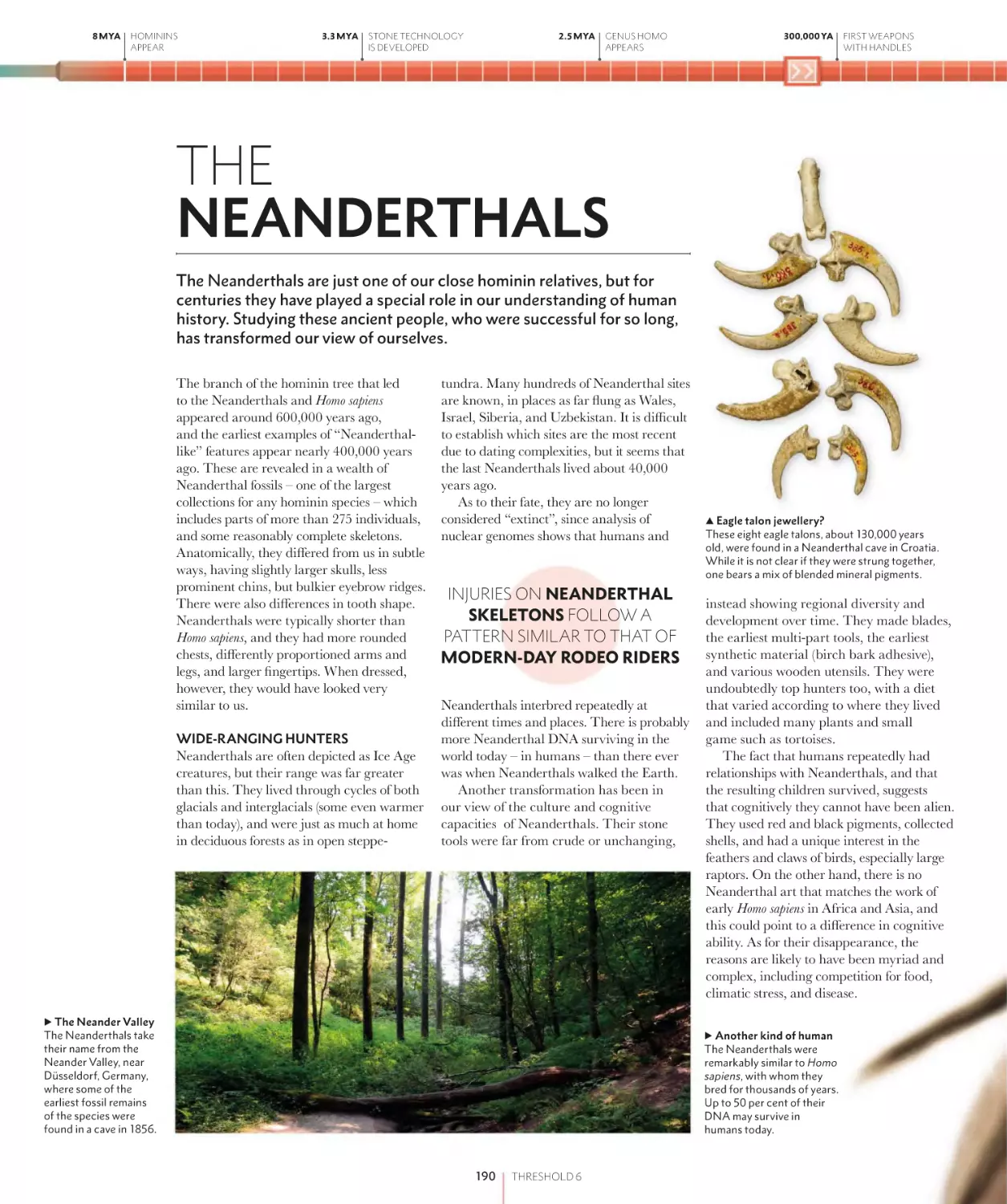 THE NEANDERTHALS